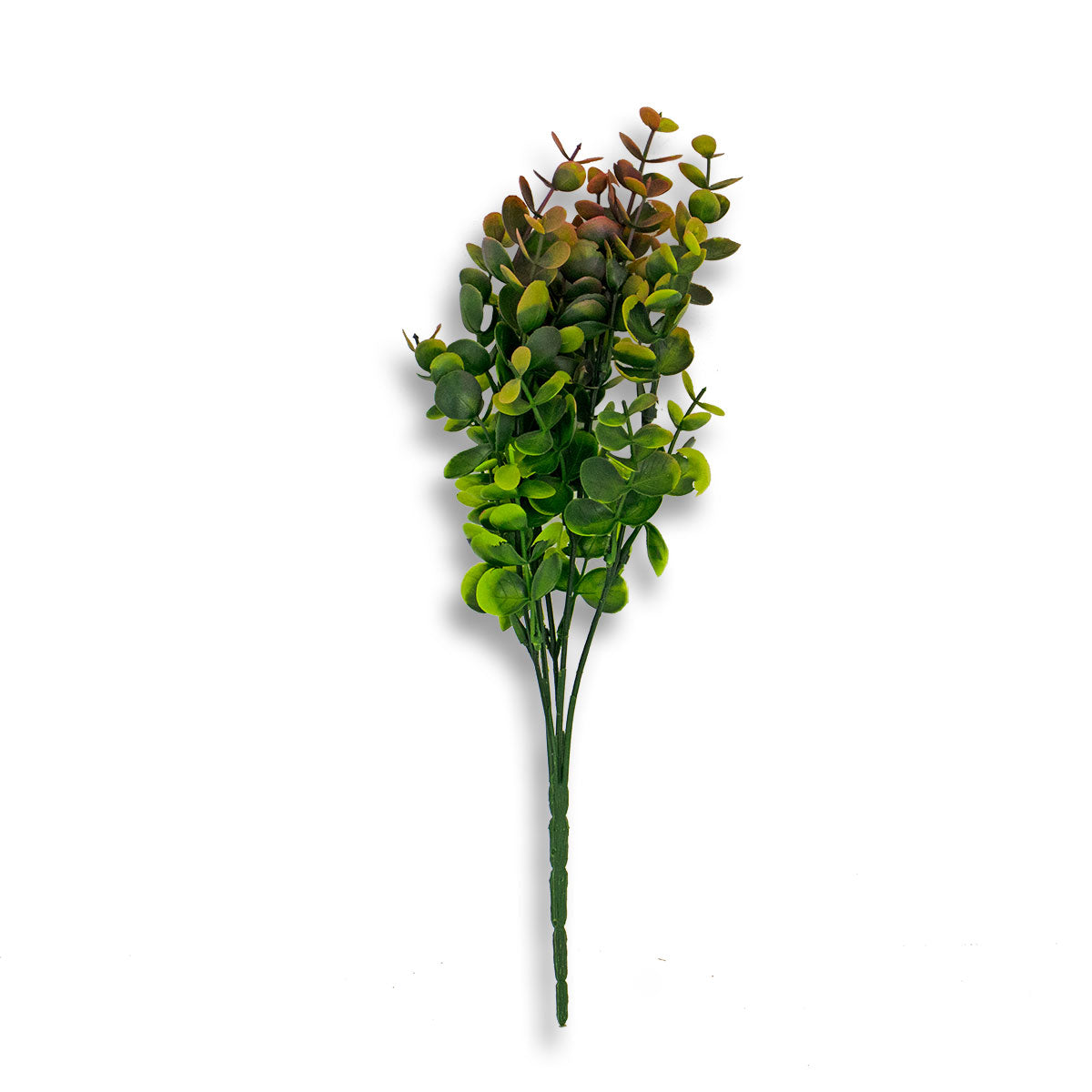  CEWOR 6 tallos de algodón de 23.5 pulgadas, 4 cabezas de  algodón con hojas de eucalipto por tallo, tallos florales de algodón para  decoración floral del hogar, granja : Hogar y Cocina