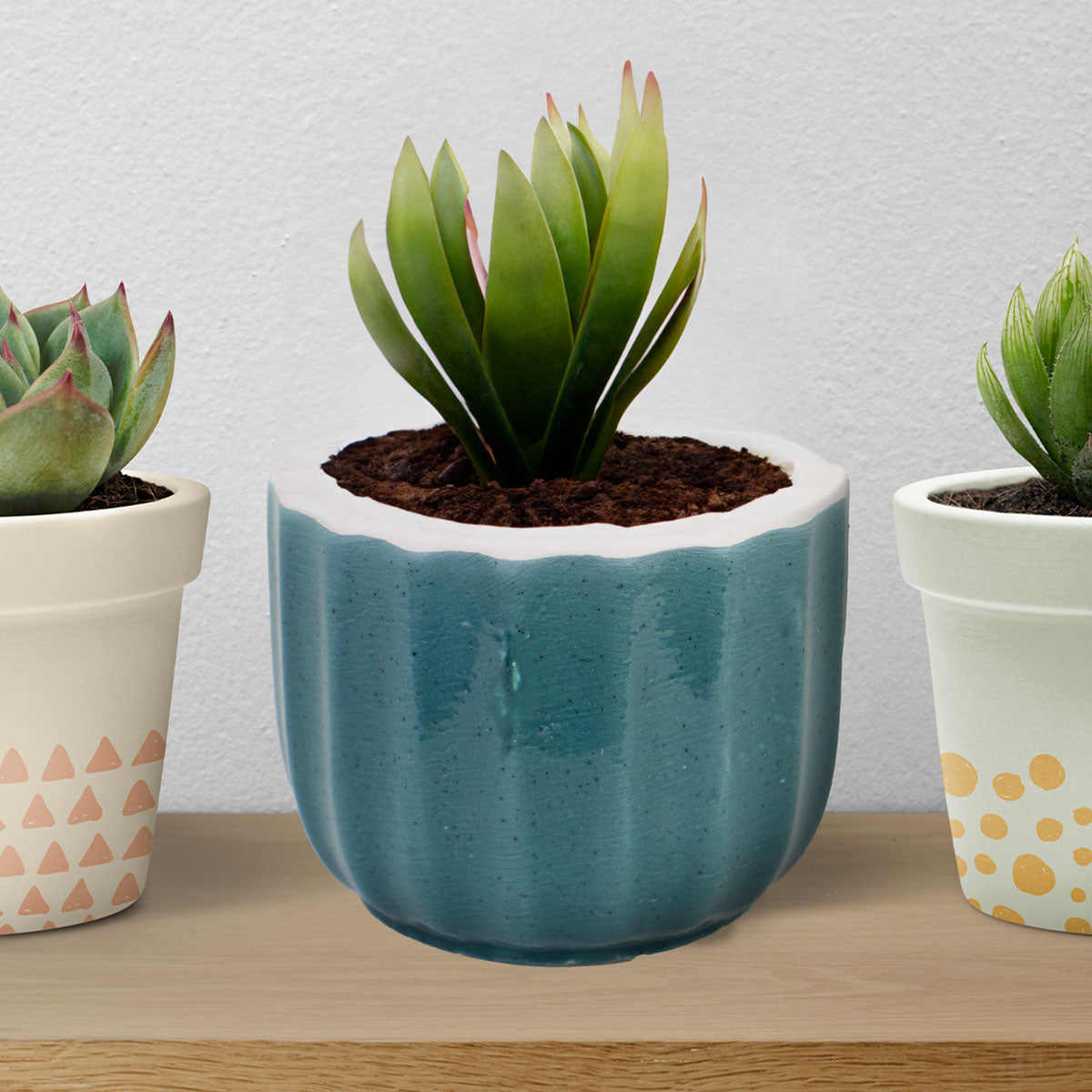 Maceta color Turquesa 7.2x6.8cm