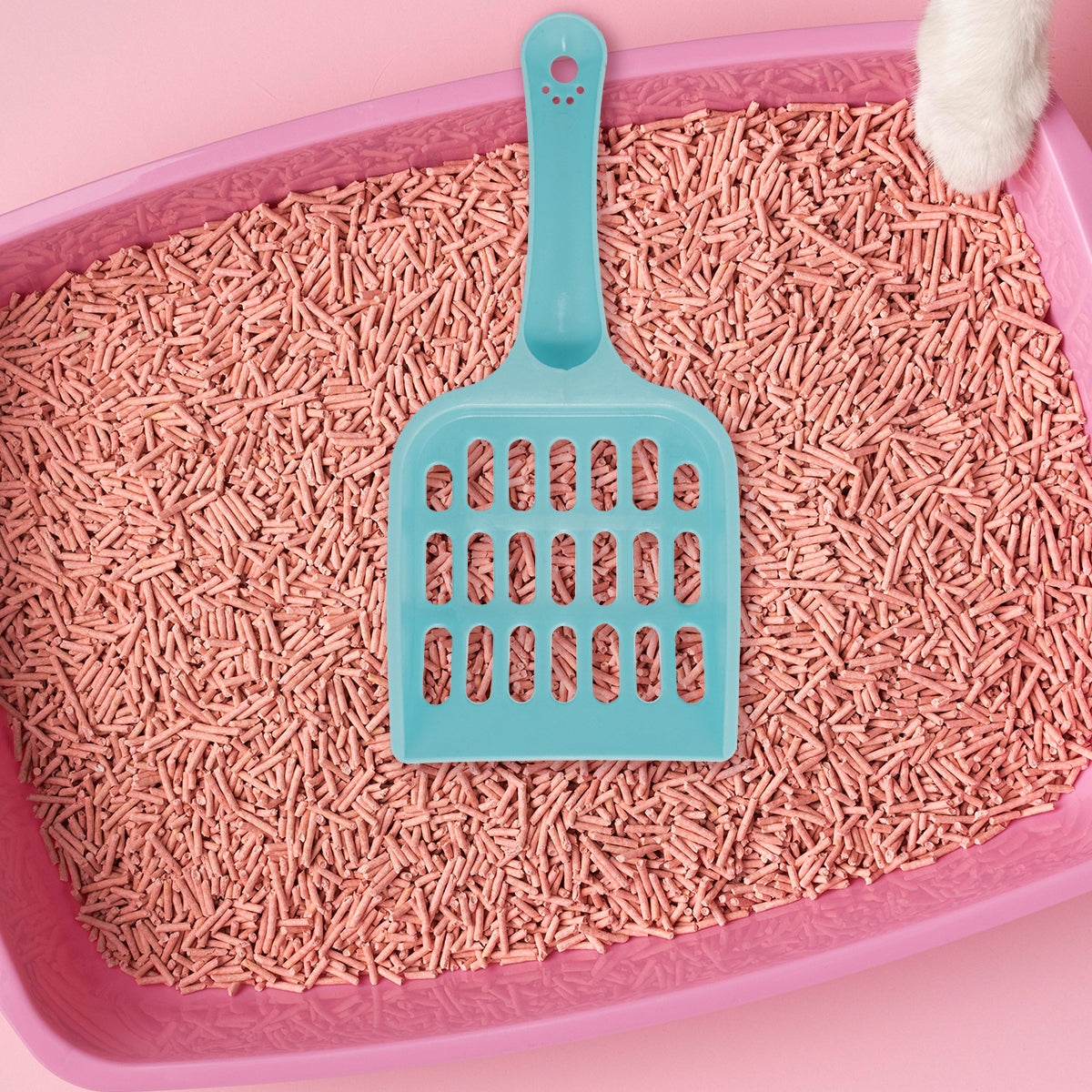 Recogedor de Arena para Gatos, Color Azul