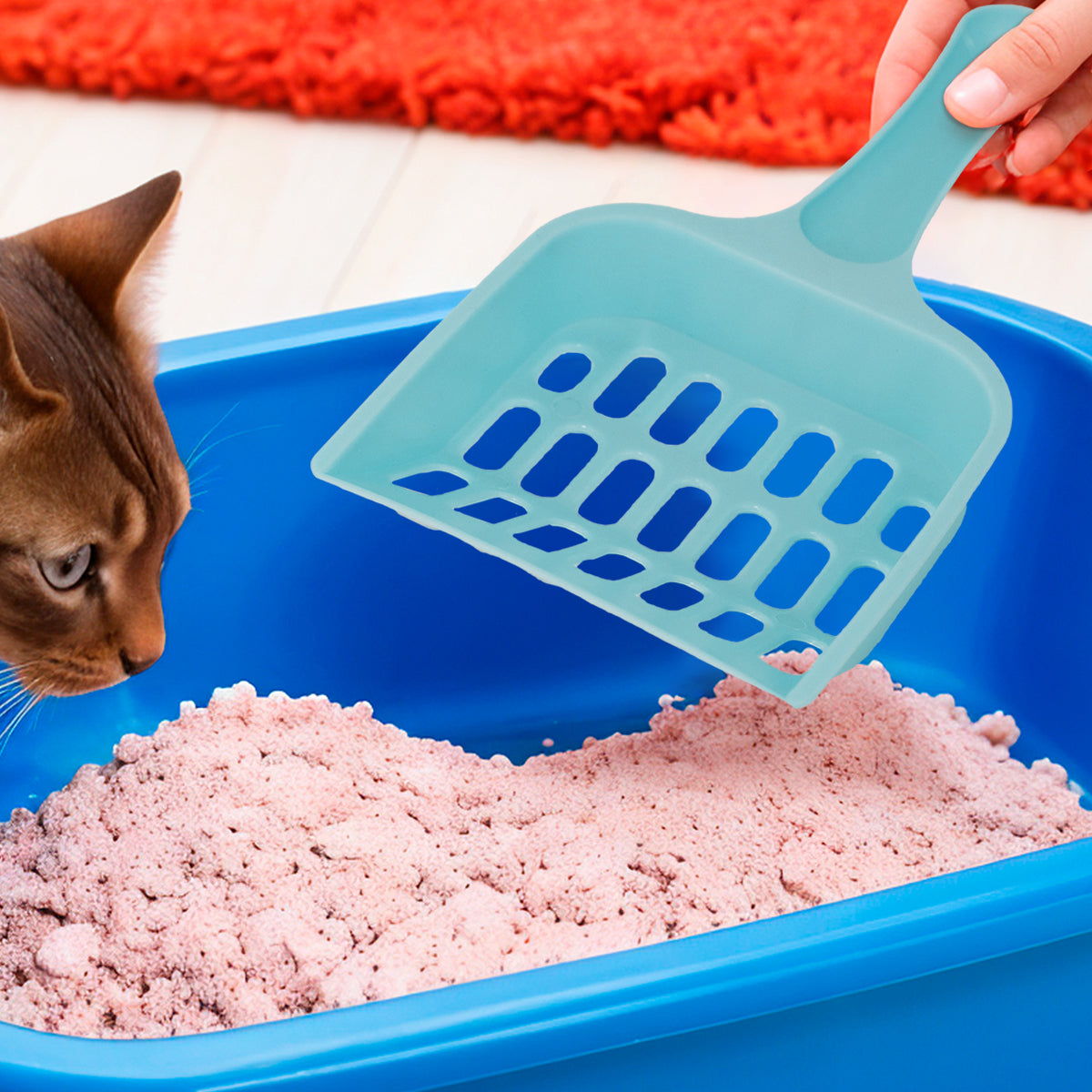 Recogedor de Arena para Gatos, Color Azul