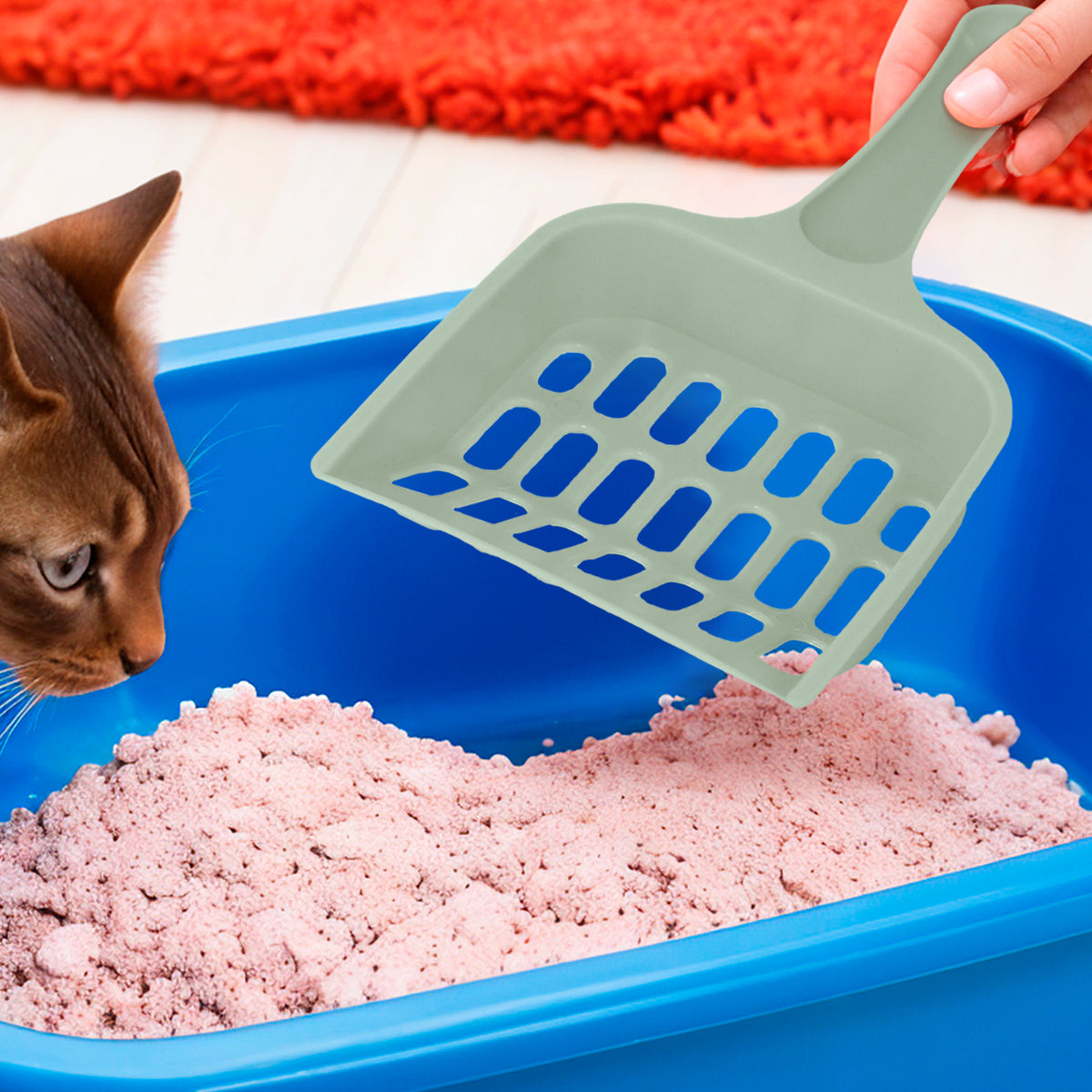 Recogedor de Arena para Gatos, Color Verde