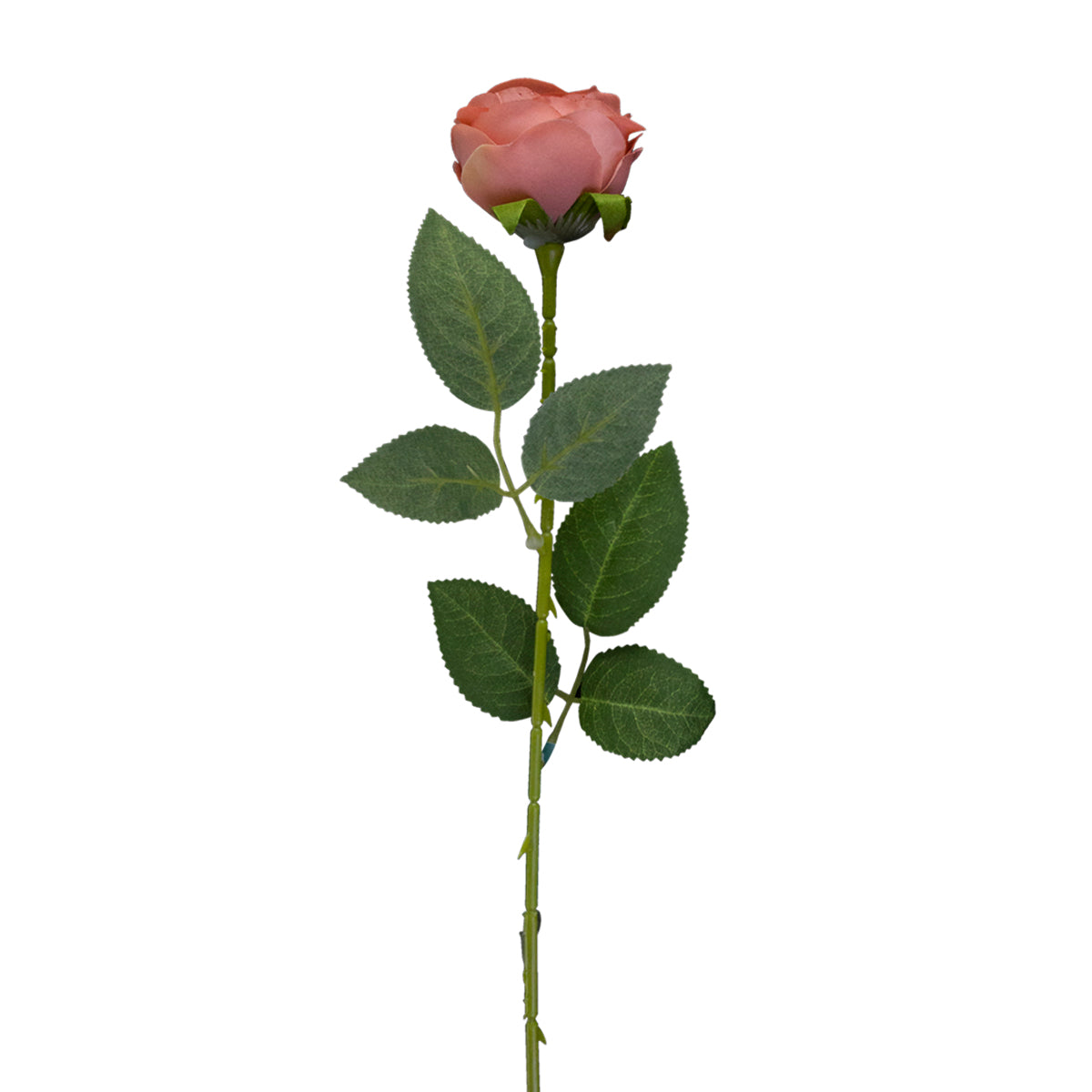 Rosa Artificial color Rosa Coral