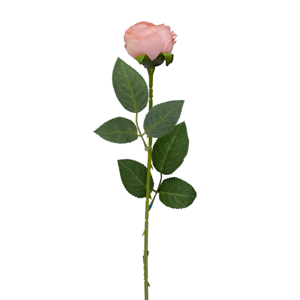 Rosa Artificial color Rosa Claro