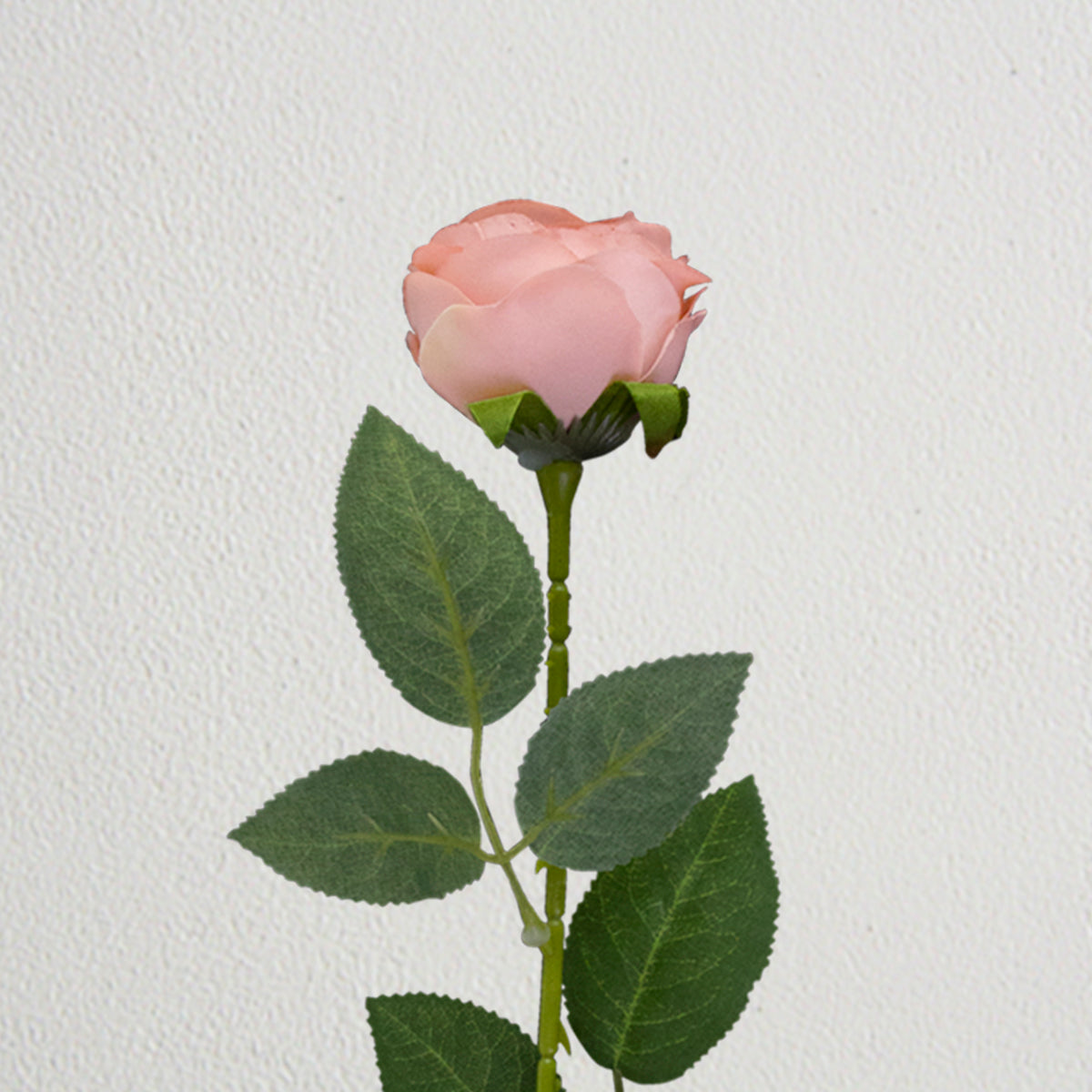 Rosa Artificial color Rosa Claro