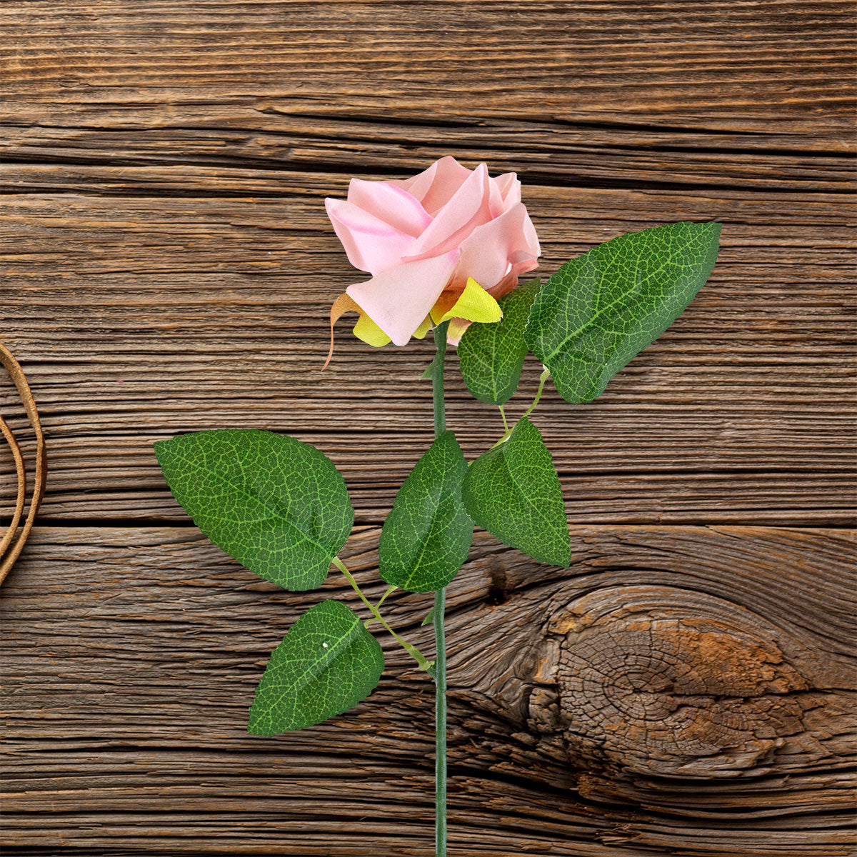 Rosa Artificial color Rosa