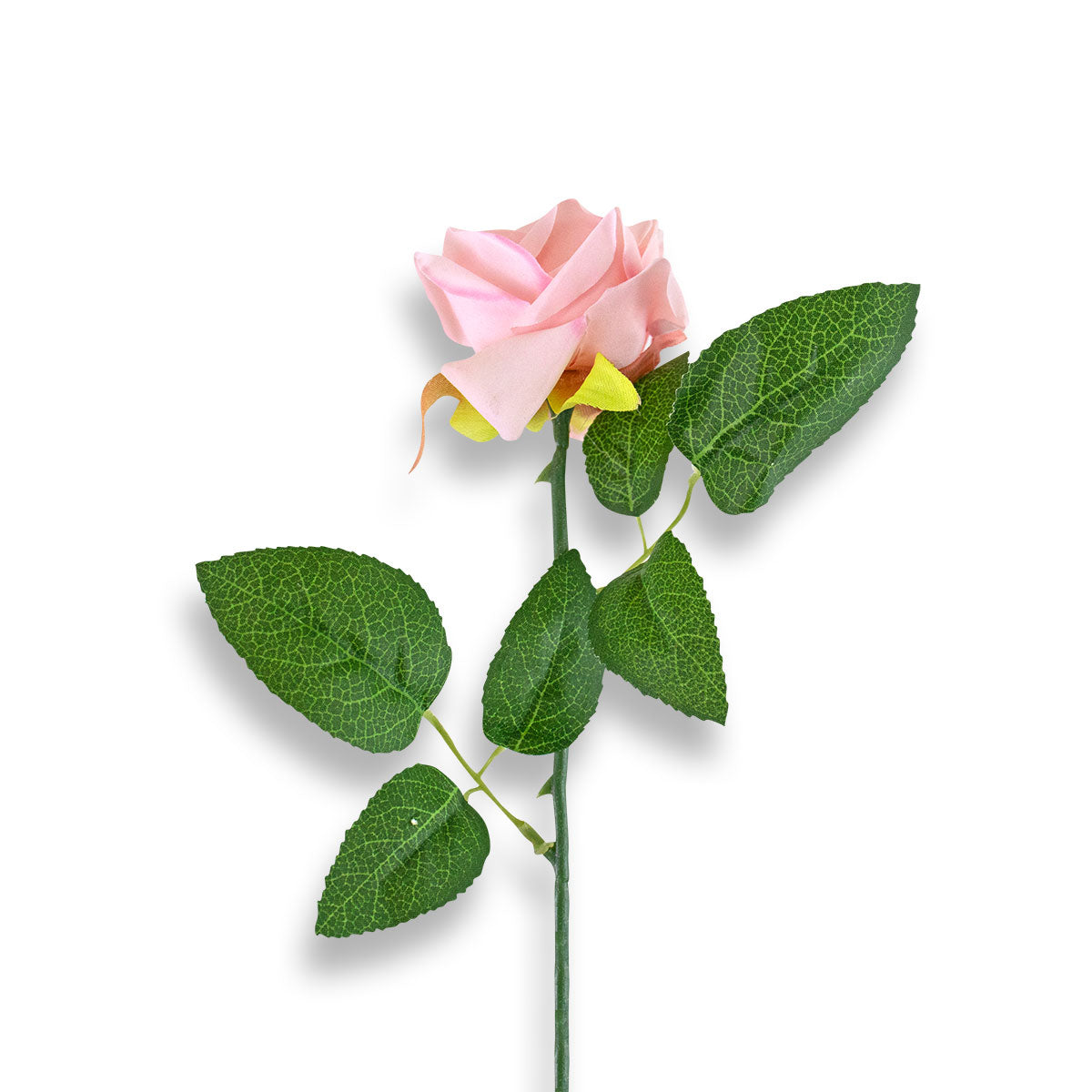 Rosa Artificial color Rosa