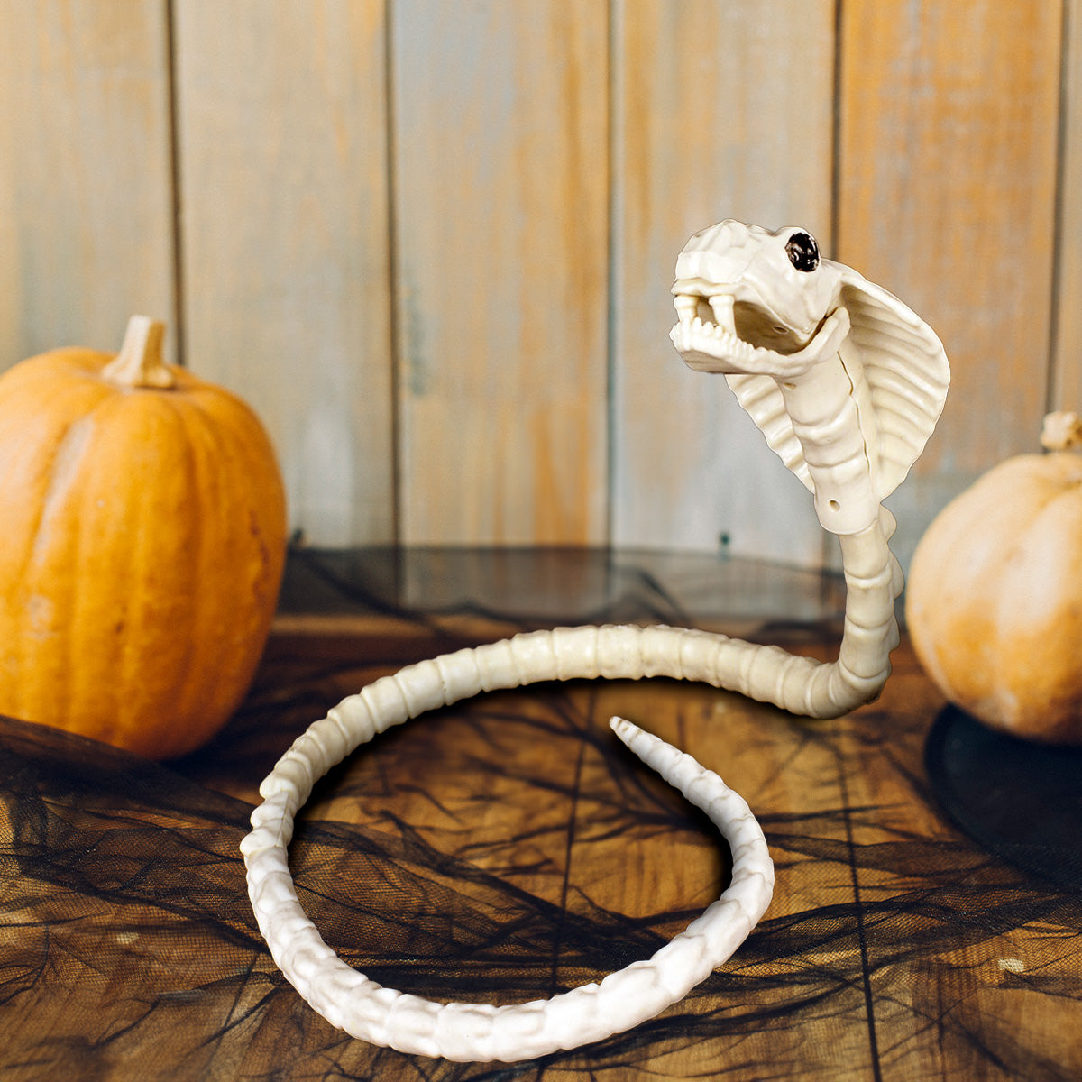 Esqueleto de Cobra para Halloween