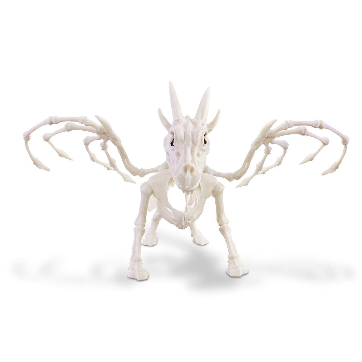 Esqueleto de Dragón para Decoración