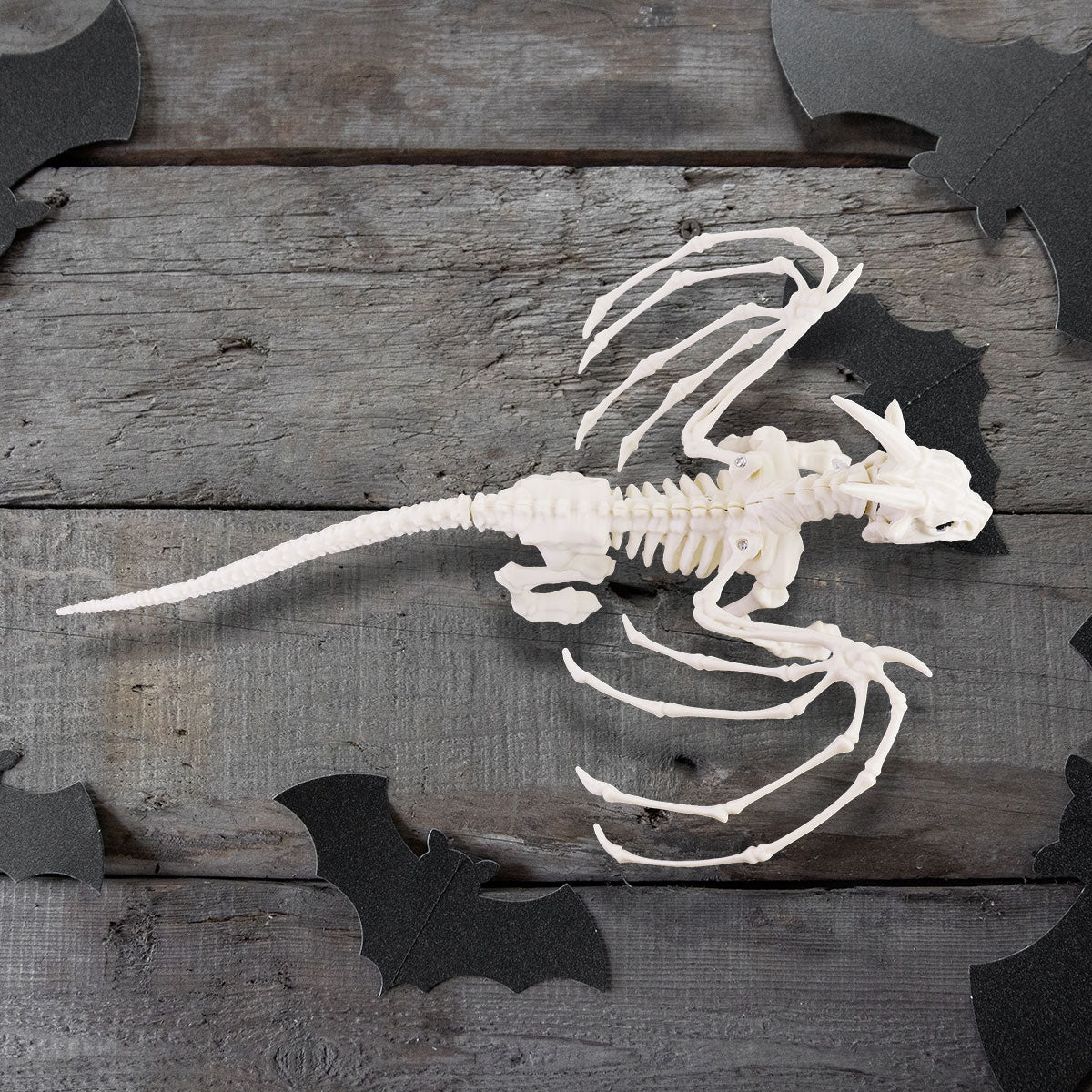 Esqueleto de Dragón para Decoración