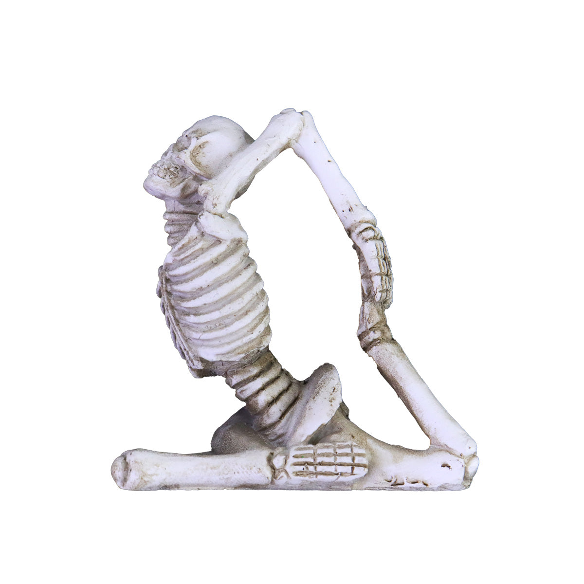 Decoración de Esqueleto en Posición de Estiramiento