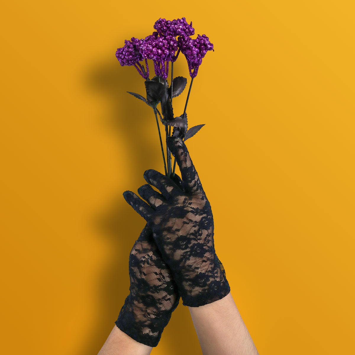 Guantes Negros de Encaje, Halloween