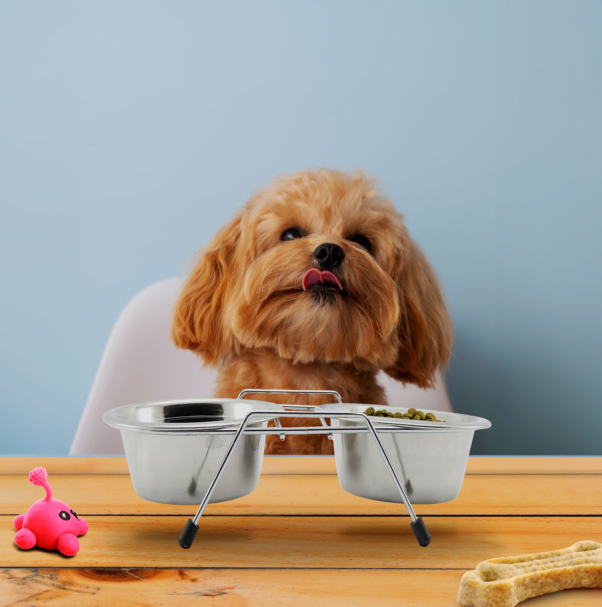 Comedero Doble con Base para Mascota