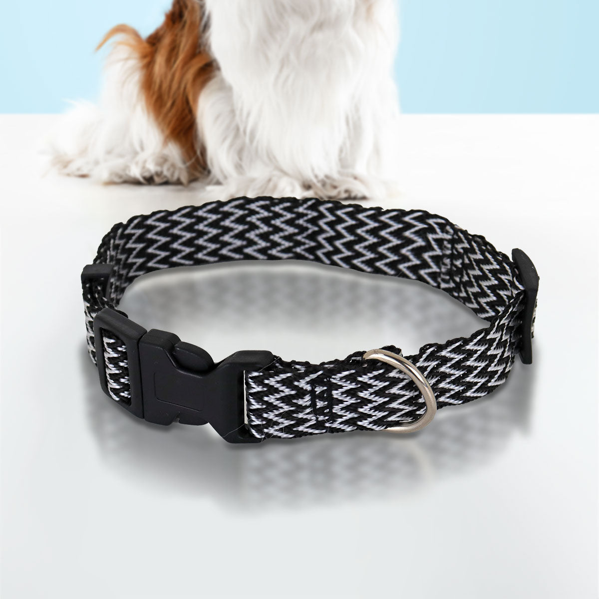 Collar Ajustable color Negro con Blanco para Mascota