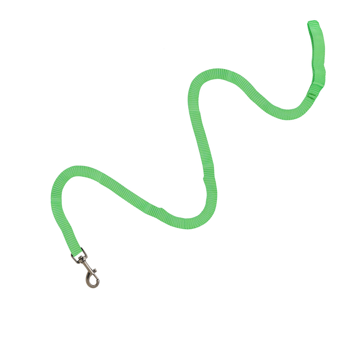 Correa para Perro, color Verde