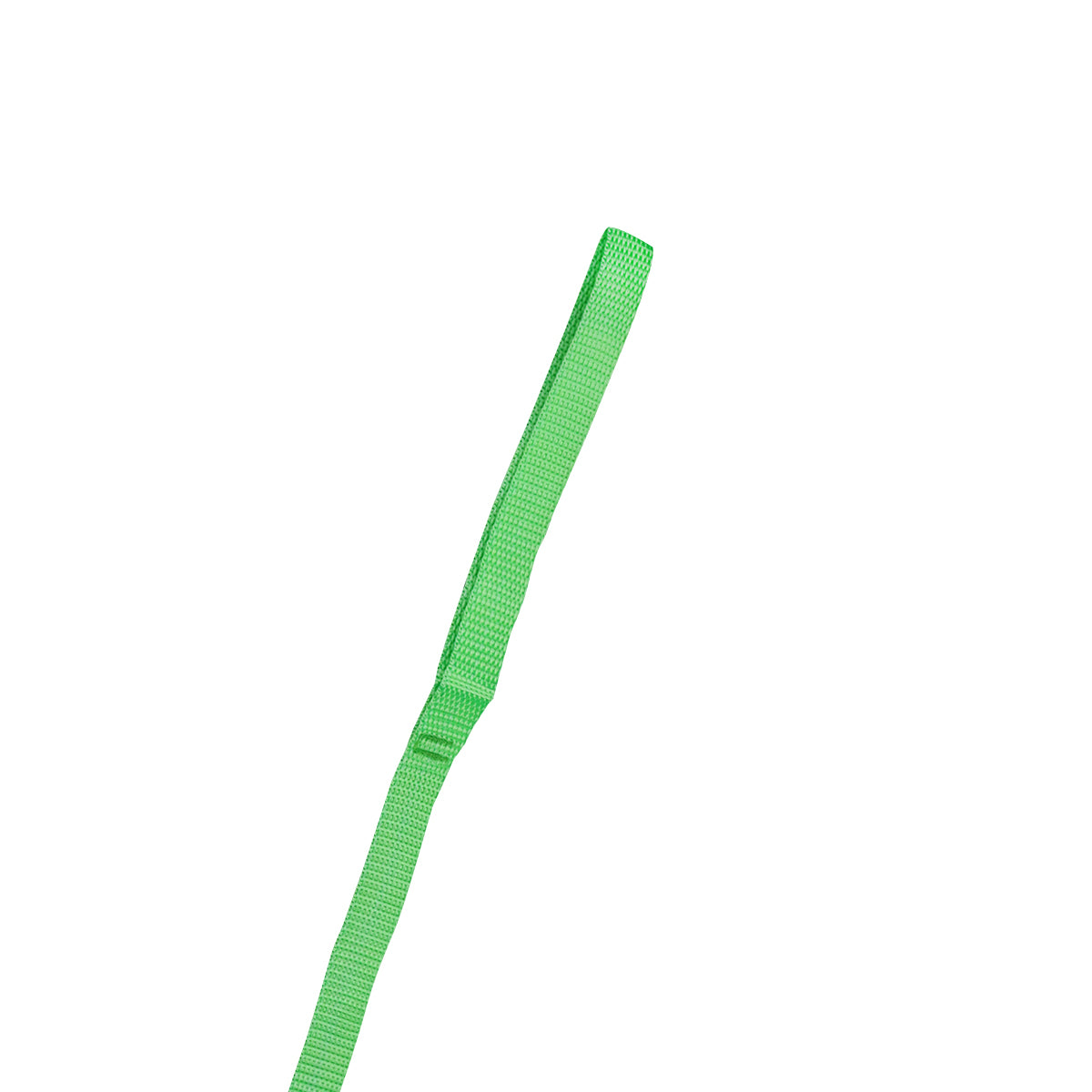 Correa para Perro, color Verde