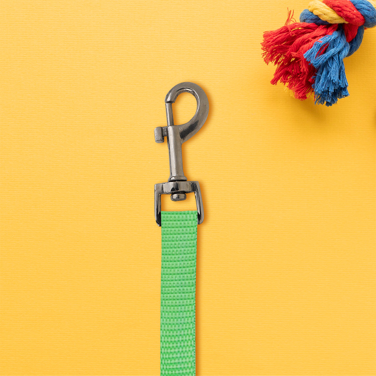 Correa para Perro, color Verde