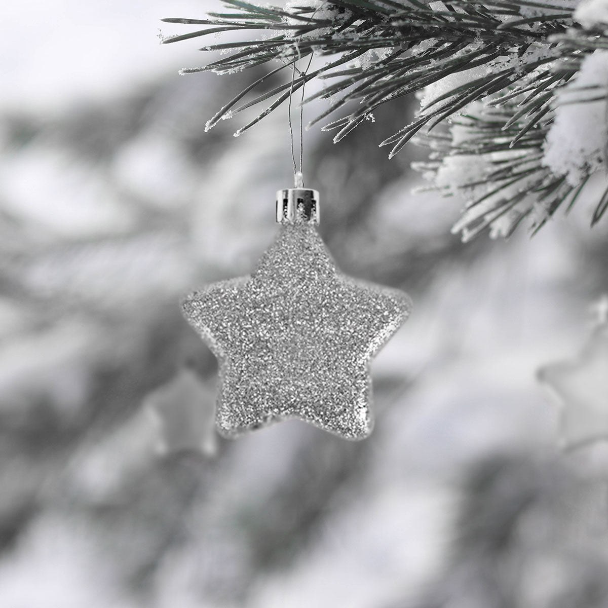 Set de 6 Mini Estrellas Navideñas color Plata