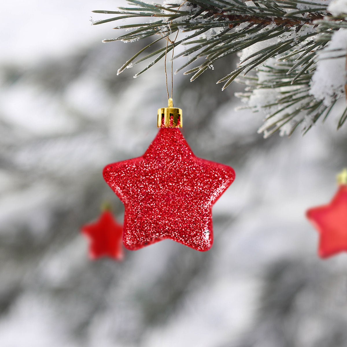 Set de 6 Mini Estrellas Navideñas color Rojo