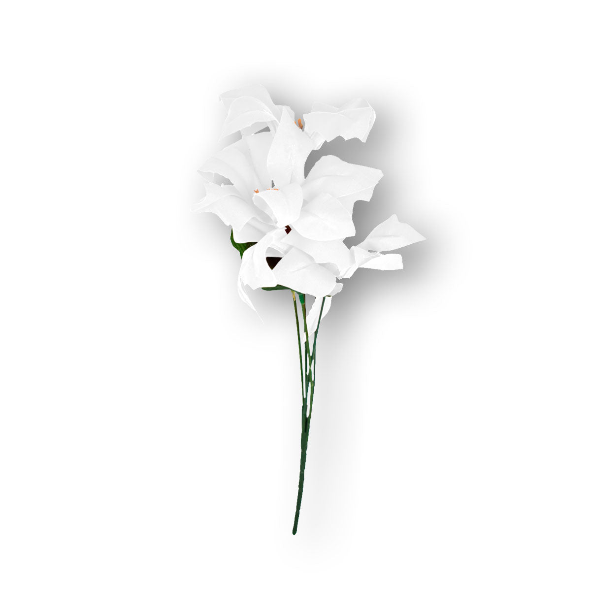 Nochebuena Artificial color Blanco