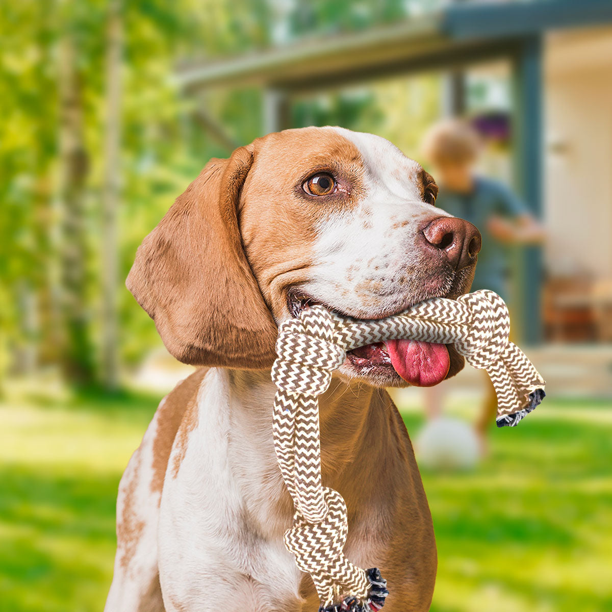 Juguete de Cuerda con 3 Nudos color Café para Mascota