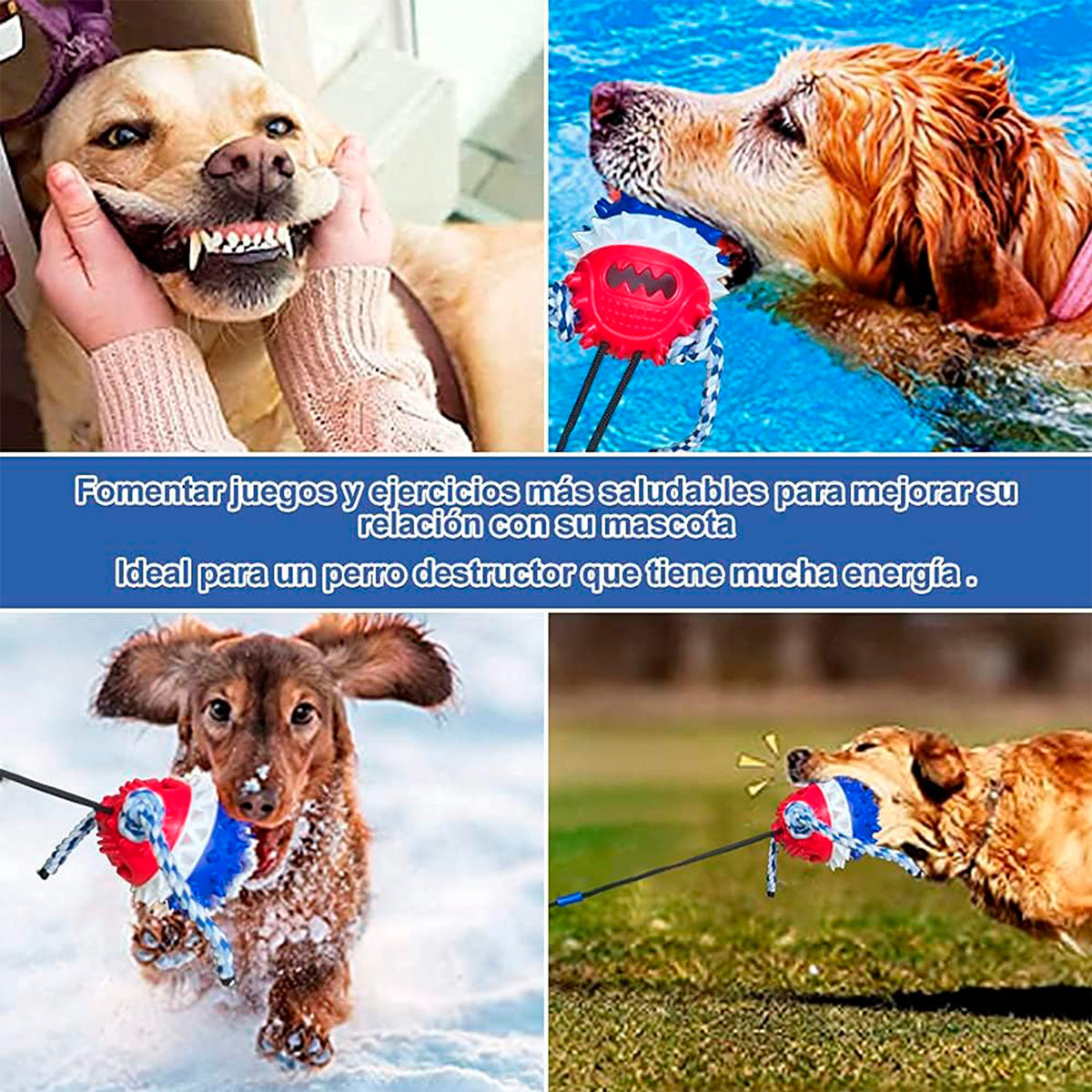 Juguete Dispensador para Mascota