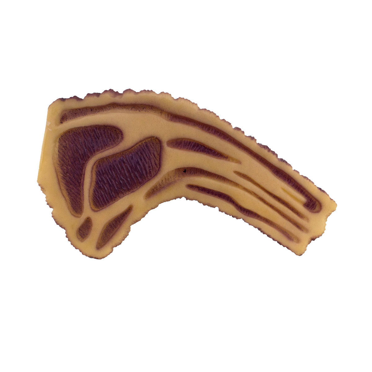 Juguete para Mascota en Forma de Filete