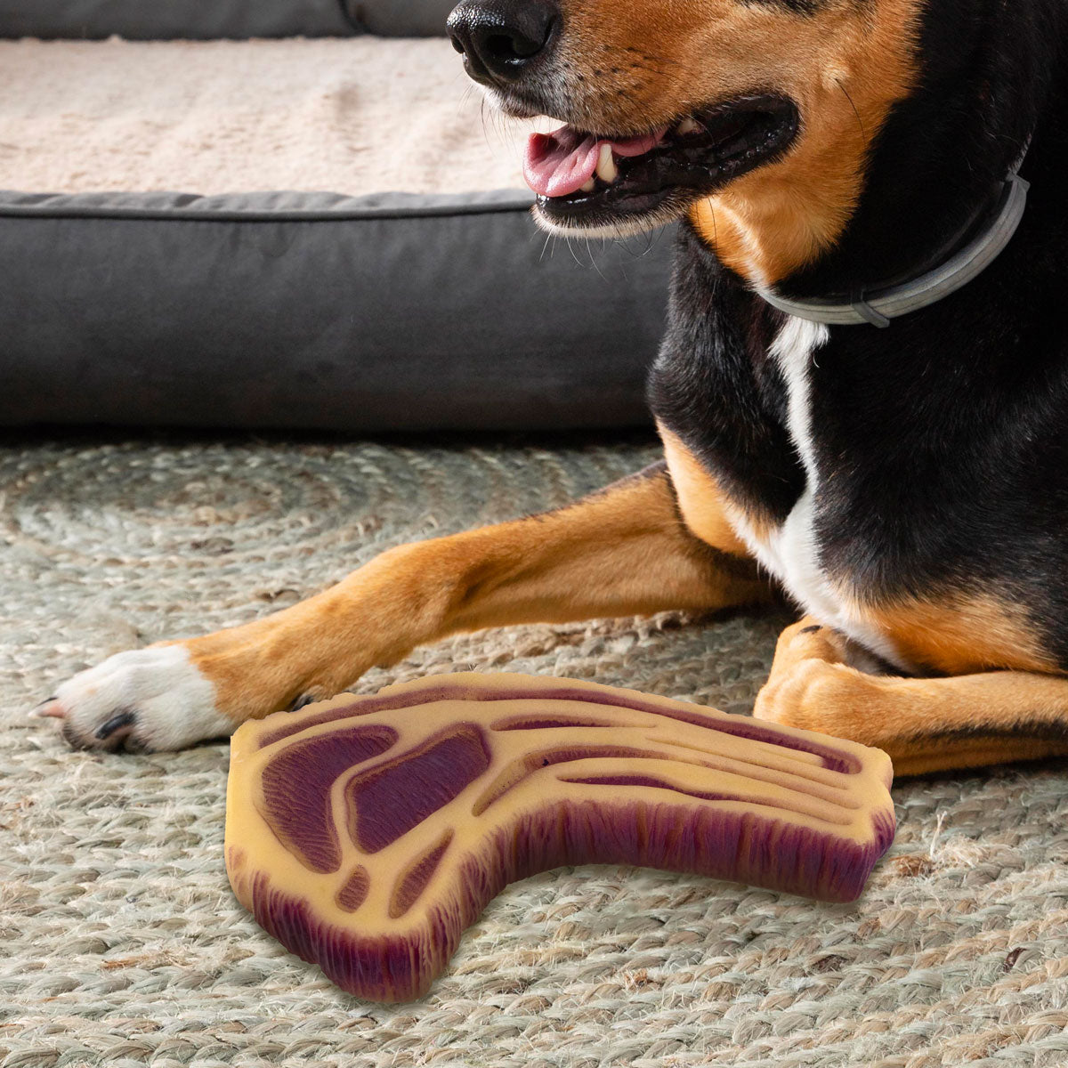 Juguete para Mascota en Forma de Filete