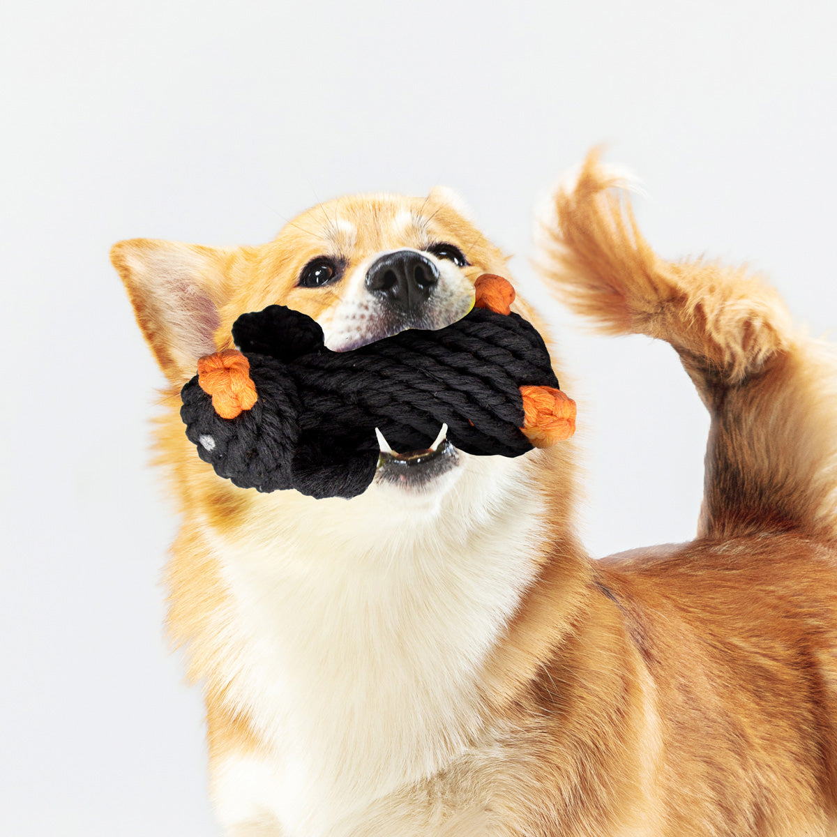 Juguete para Mascota en Forma de Pingüino