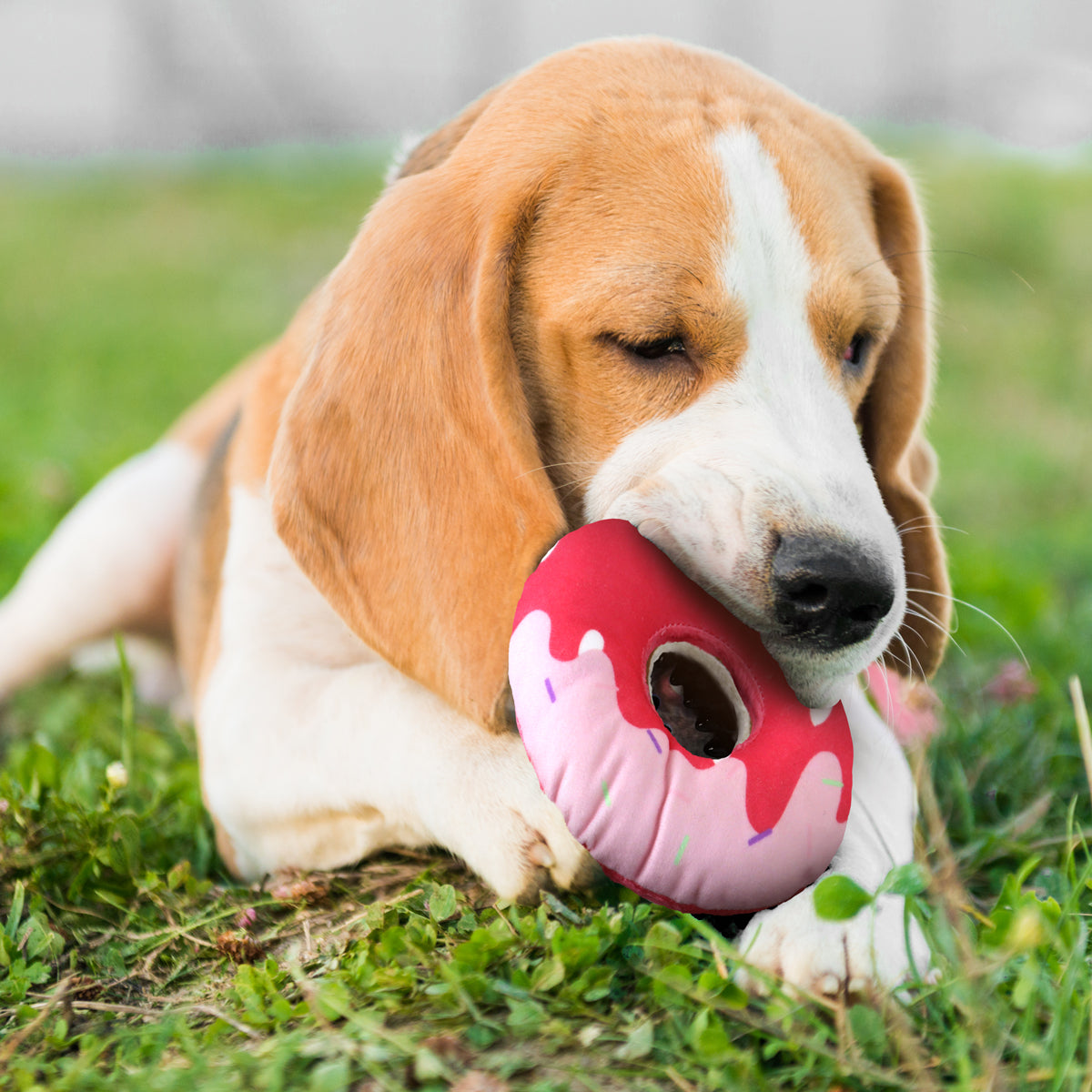 Dona de Peluche, color Coral