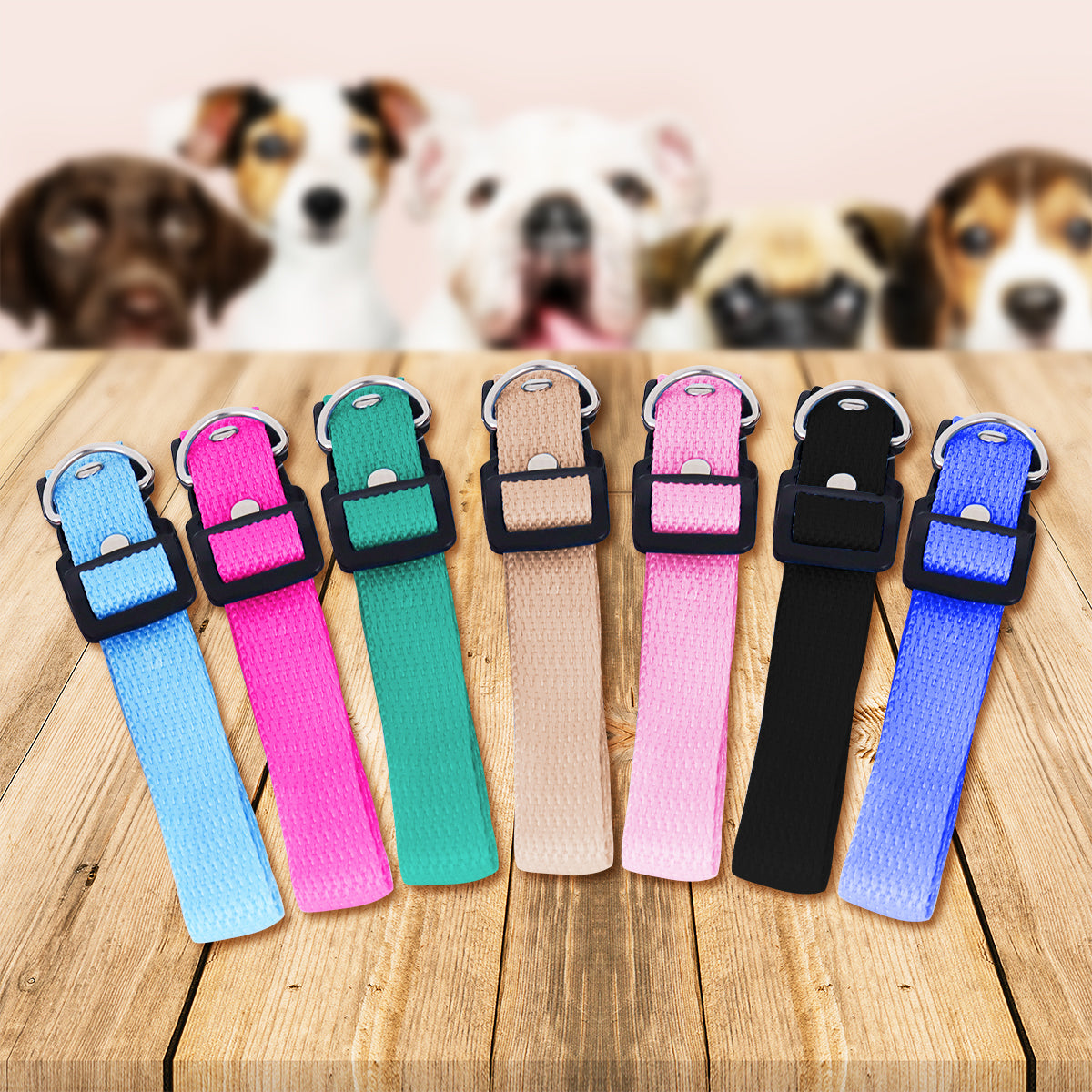Collar Ajustable para Mascota