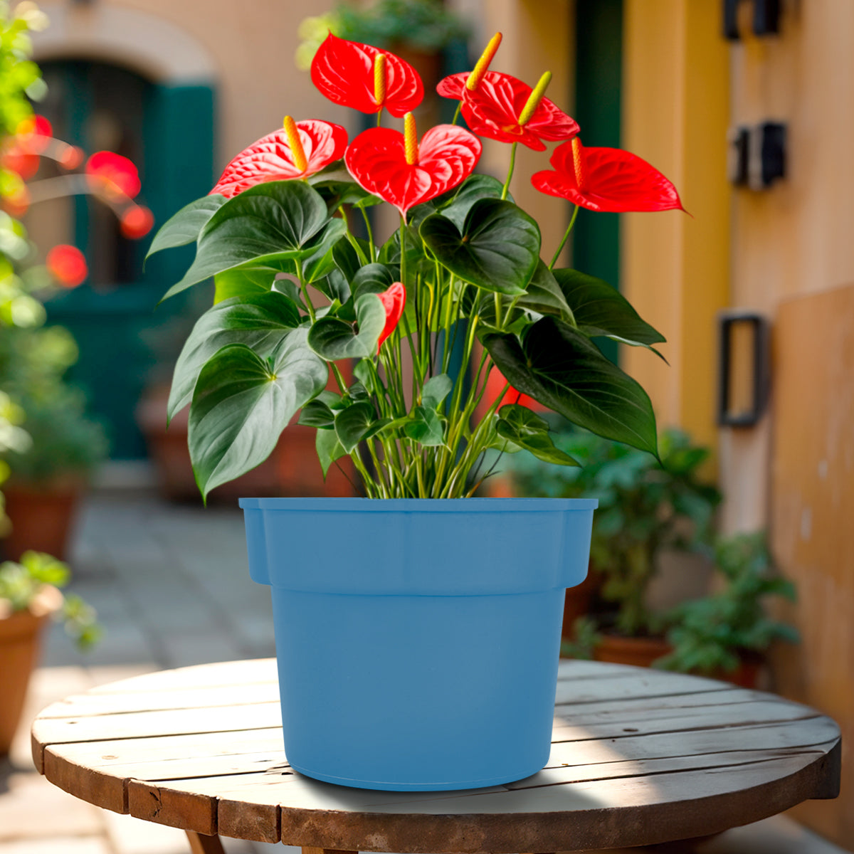 Maceta de Plástico, Color Azul, 12x15 cm