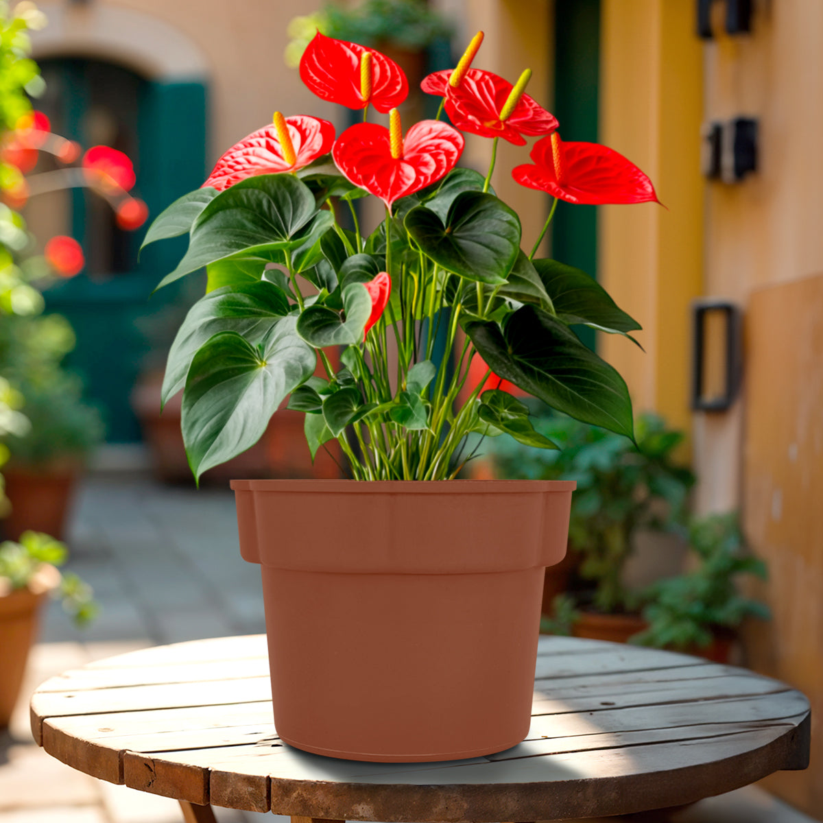 Maceta de Plástico, 12x15 cm