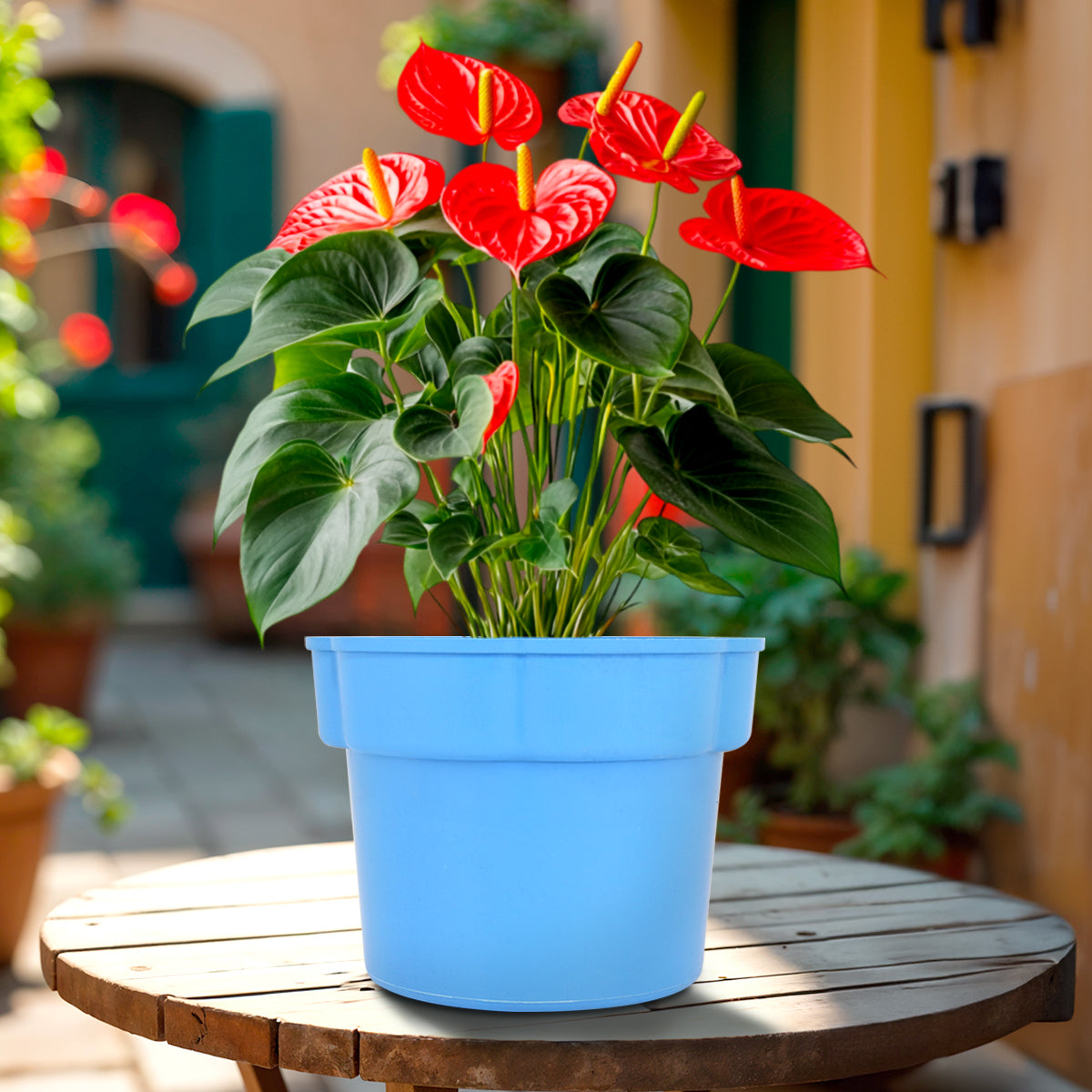 Maceta de Plástico, Color Azul Claro, 12x15 cm