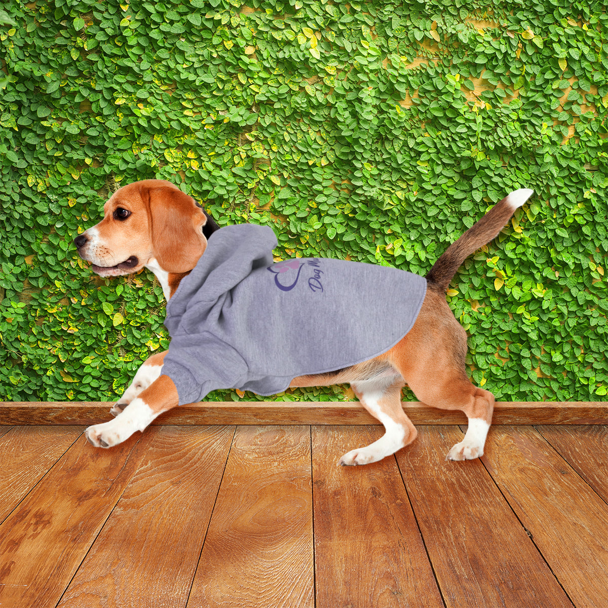 Sudadera color Gris para Mascota