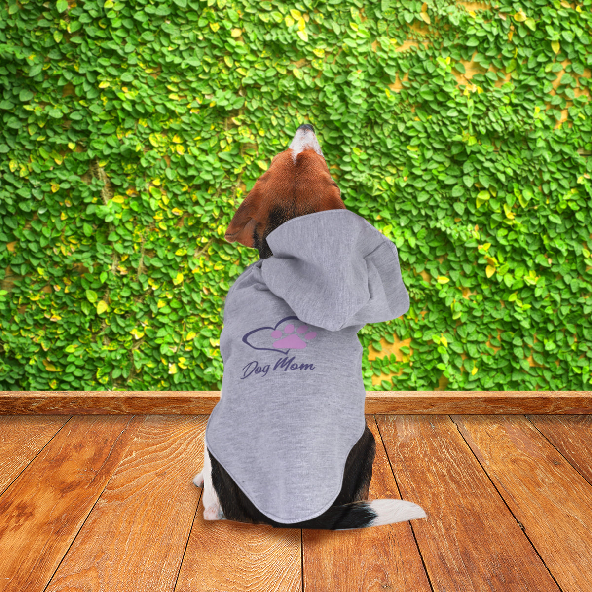Sudadera color Gris para Mascota