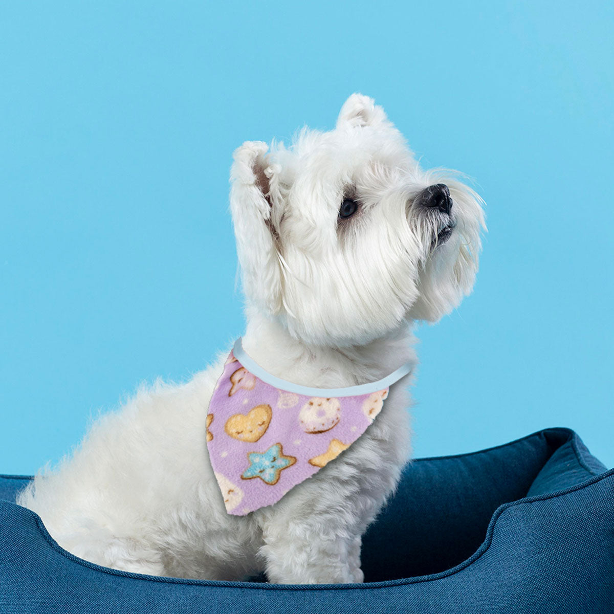 Pashmina para Mascotas con Diseño, color Lila