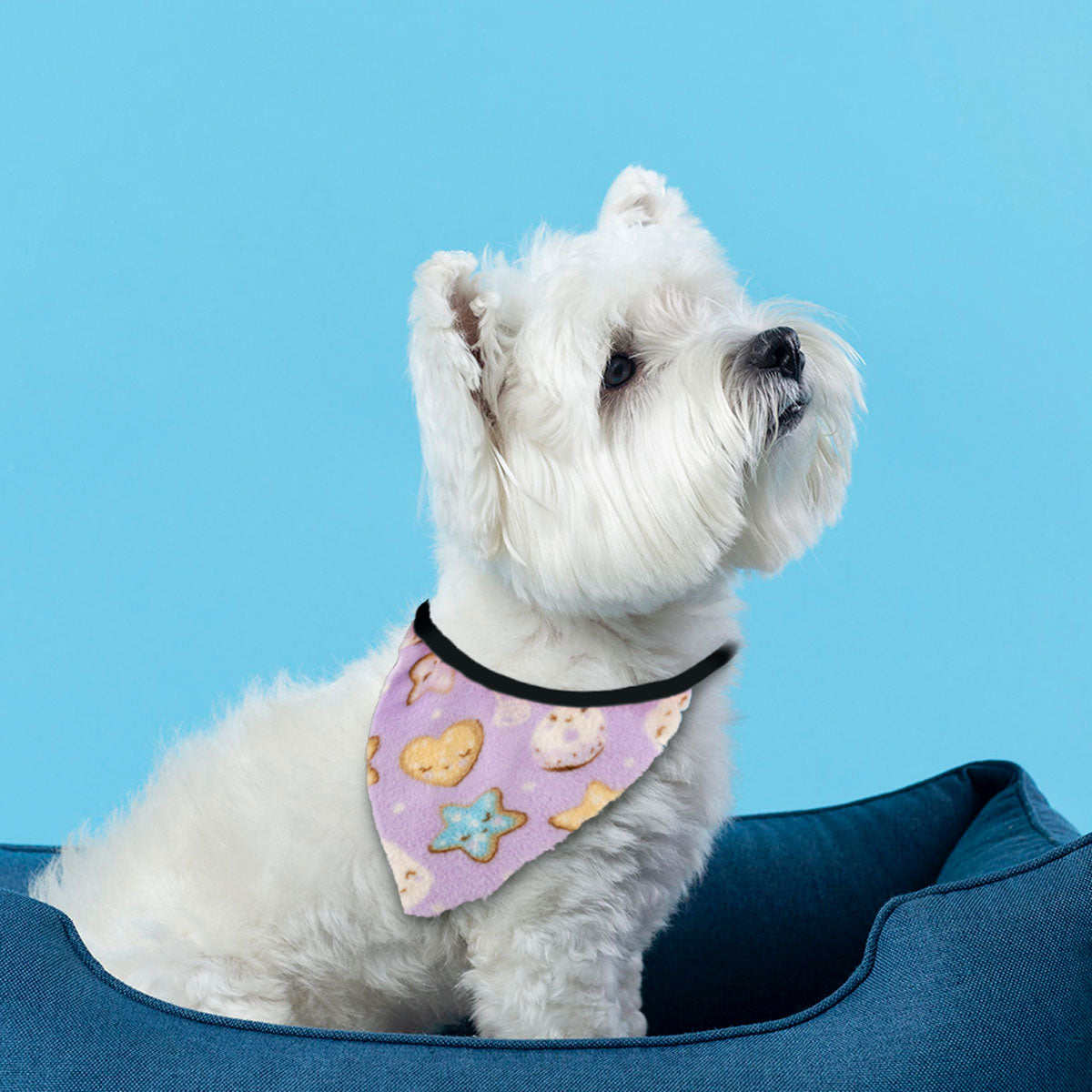 Pashmina para Mascotas con Diseño, color Lila