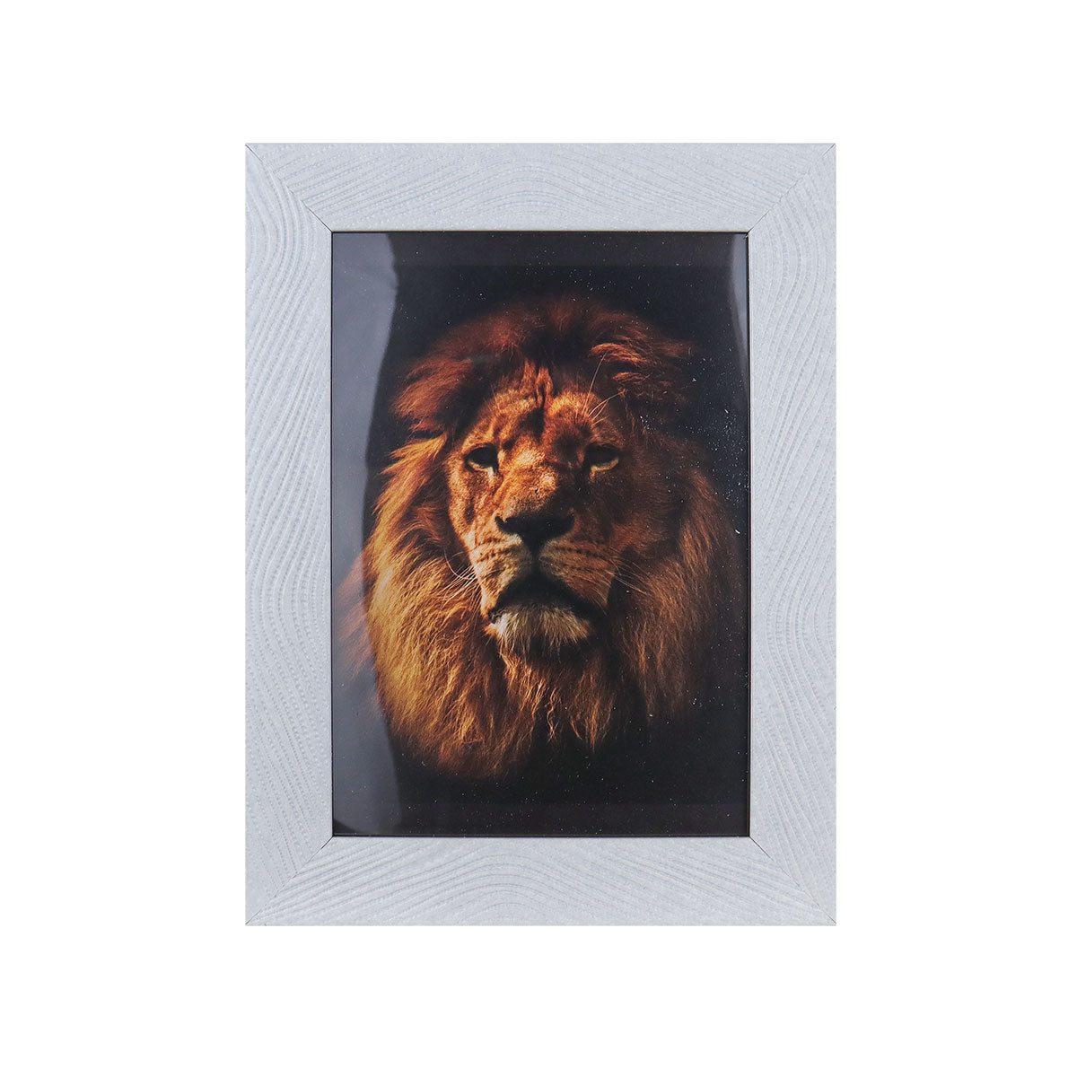 Portarretrato con Marco color Blanco, Líneas