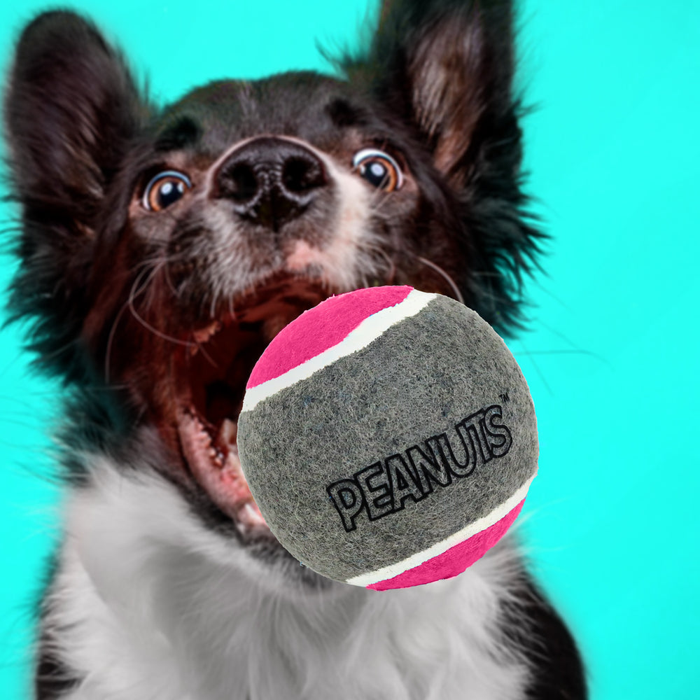 Pelota de Tenis con Diseño de Peanuts para Perro