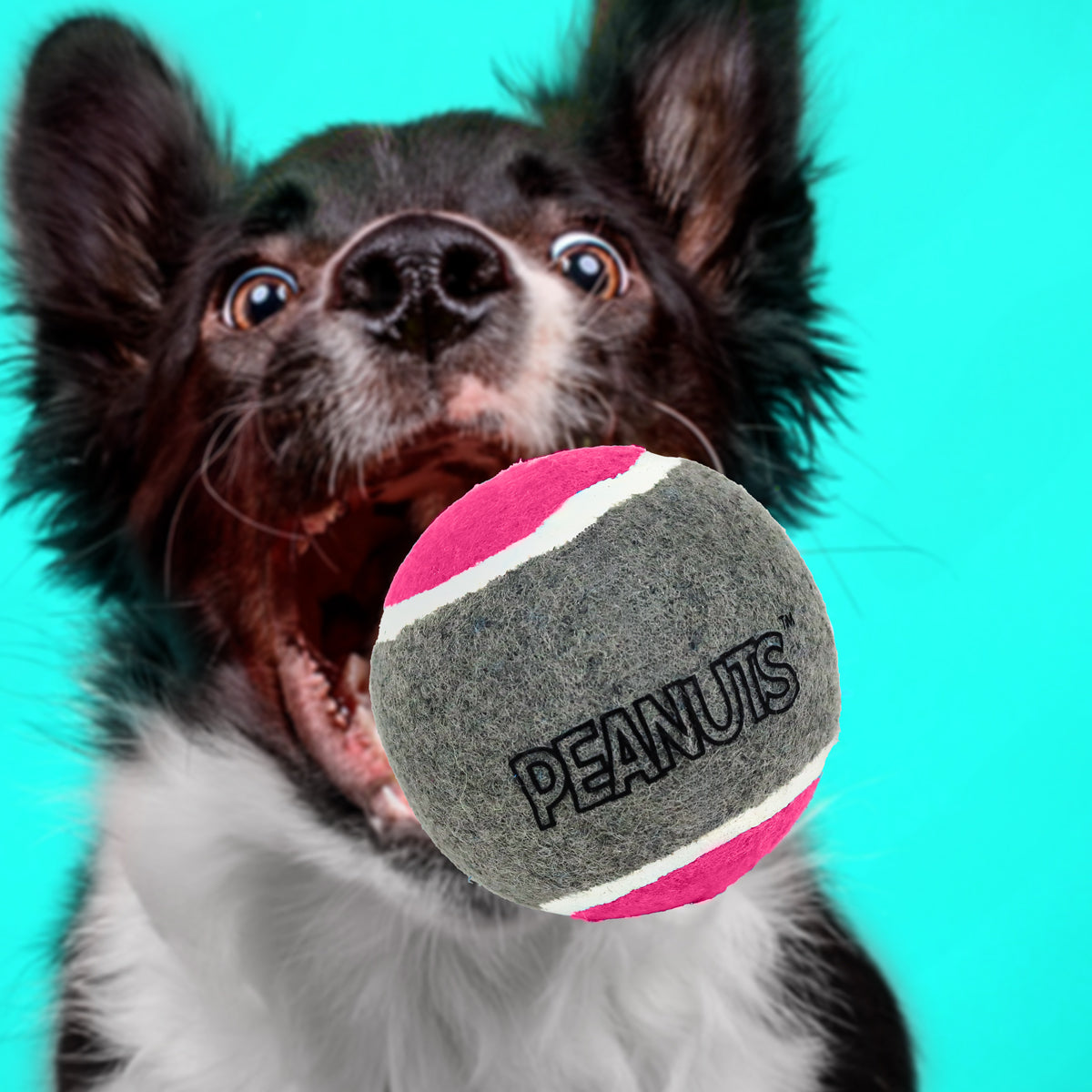 Pelota de Tenis con Diseño de Peanuts para Perro