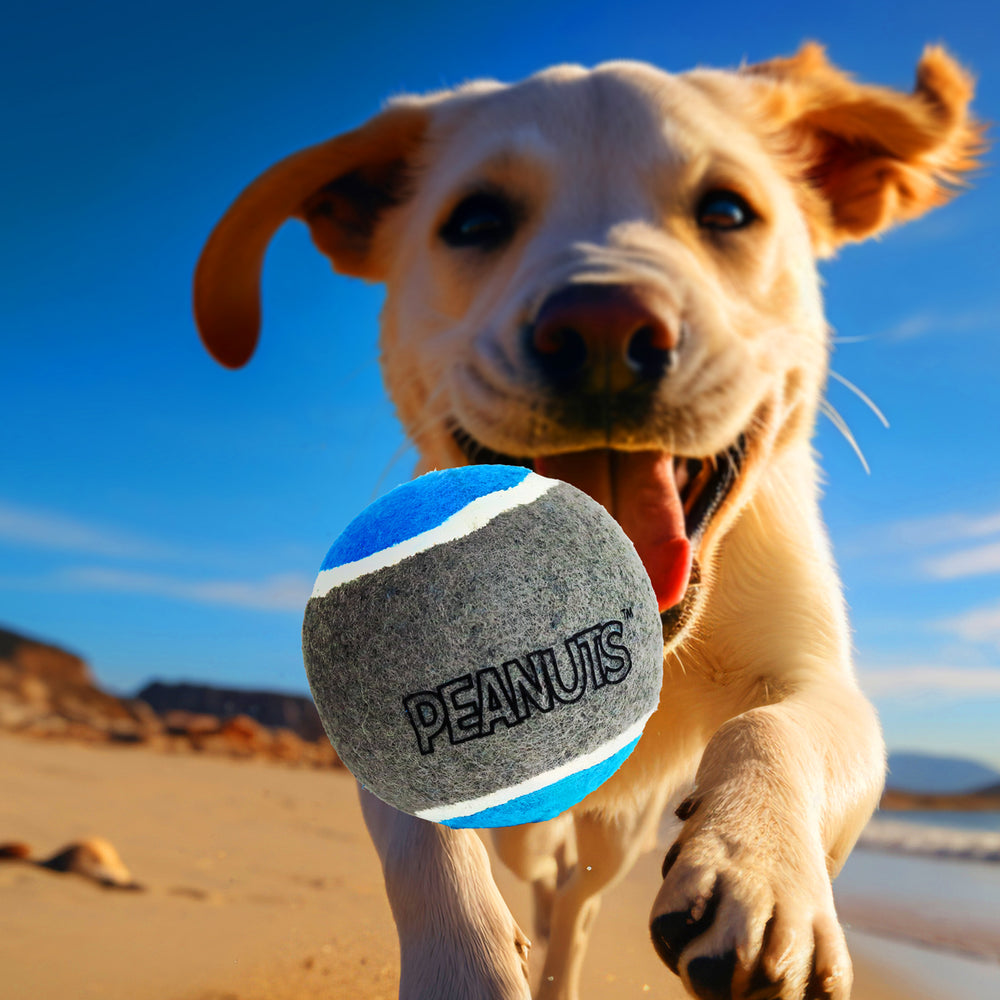 Pelota de Tenis con Diseño de Peanuts para Perro, Color Azul con Gris
