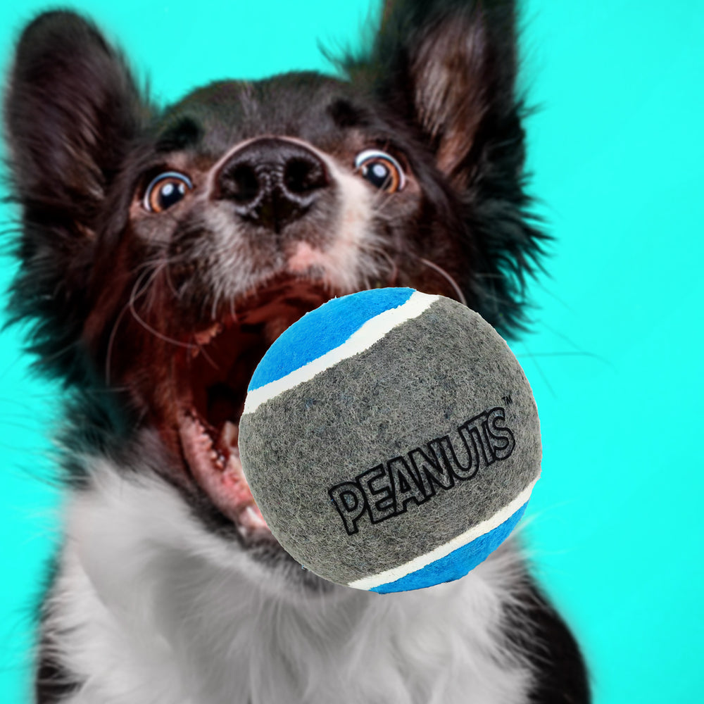 Pelota de Tenis con Diseño de Peanuts para Perro, Color Azul con Gris