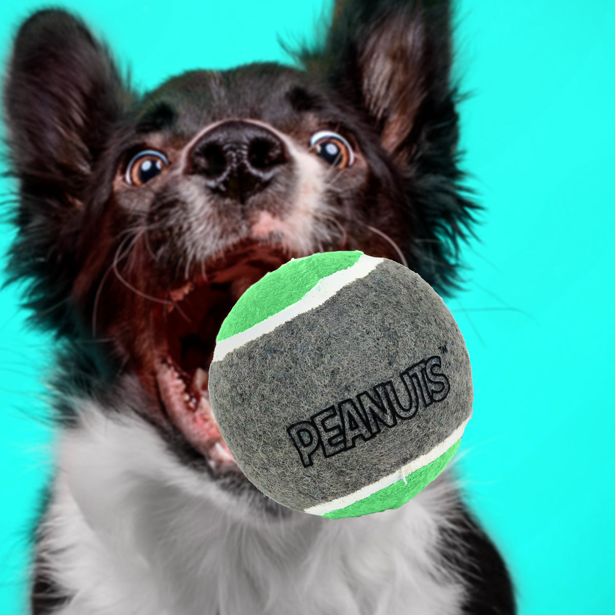 Pelota de Tenis con Diseño de Peanuts para Perro, Color Verde con Gris