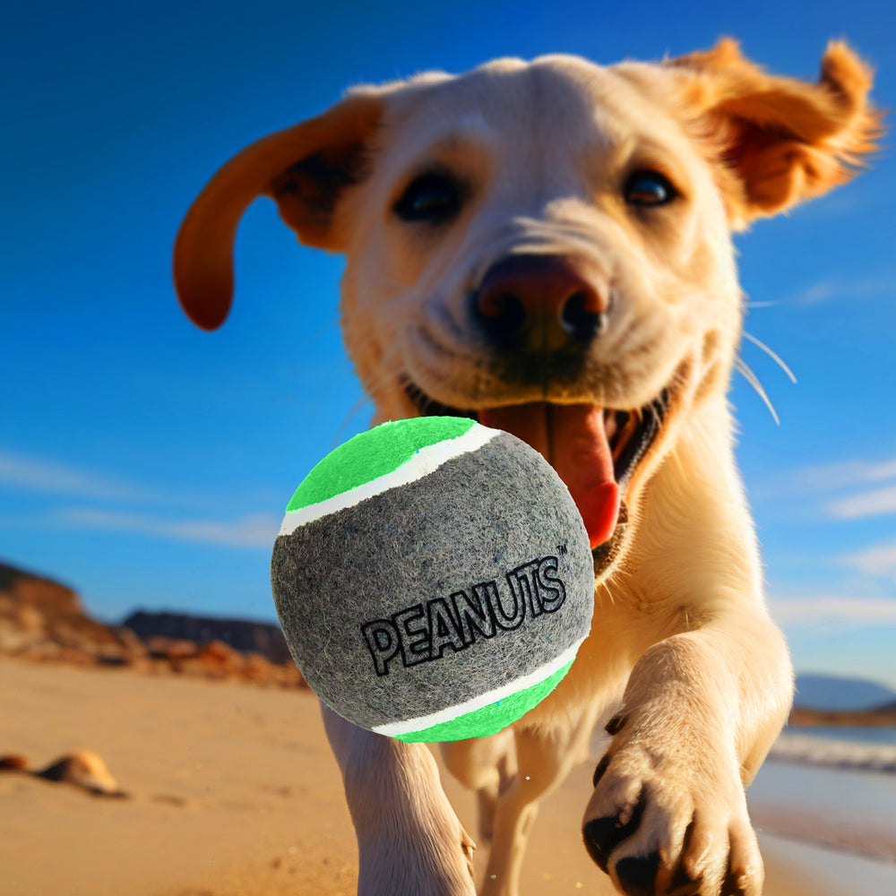 Pelota de Tenis con Diseño de Peanuts para Perro, Color Verde con Gris