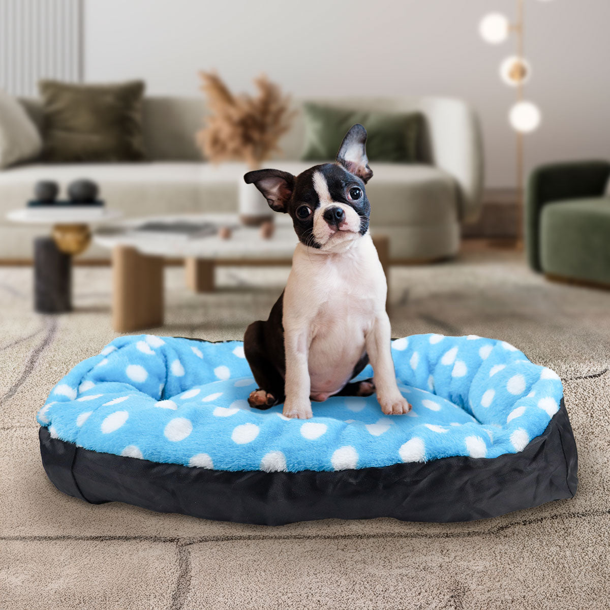 Cama para Mascota, Diseño Puntos, Color Azul