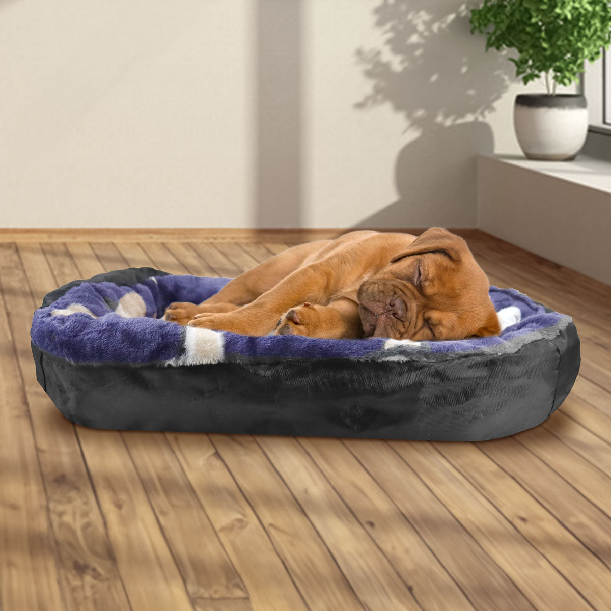 Cama para Mascota, Diseño Perritos con Lentes