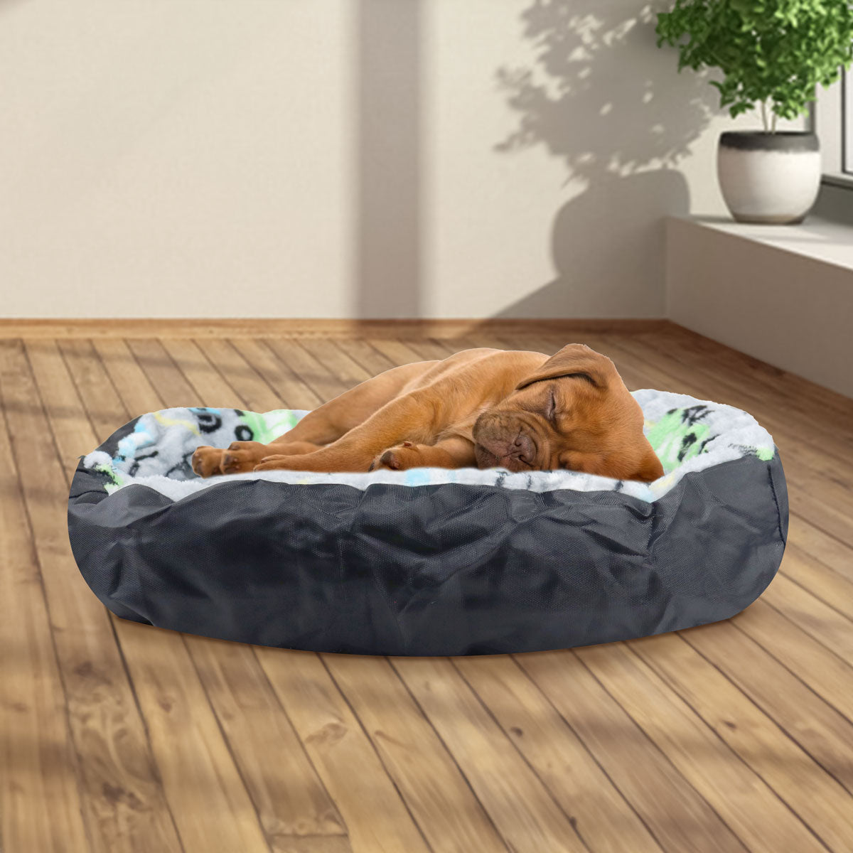 Cama para Mascota, Diseño Transporte