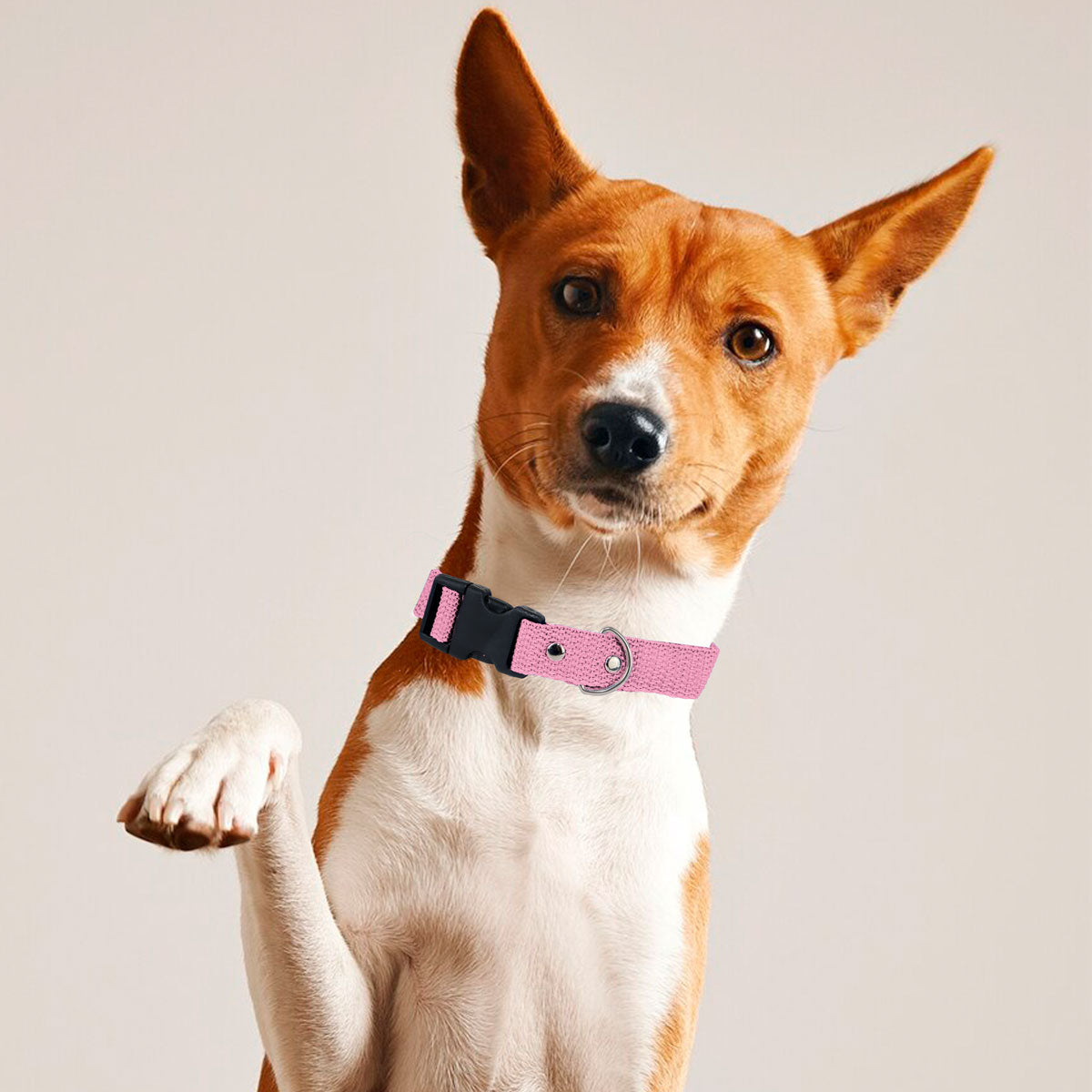 Collar Color Rosa para Mascota