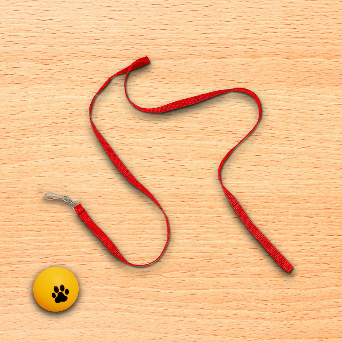 Correa Clásica Color Rojo para Mascota