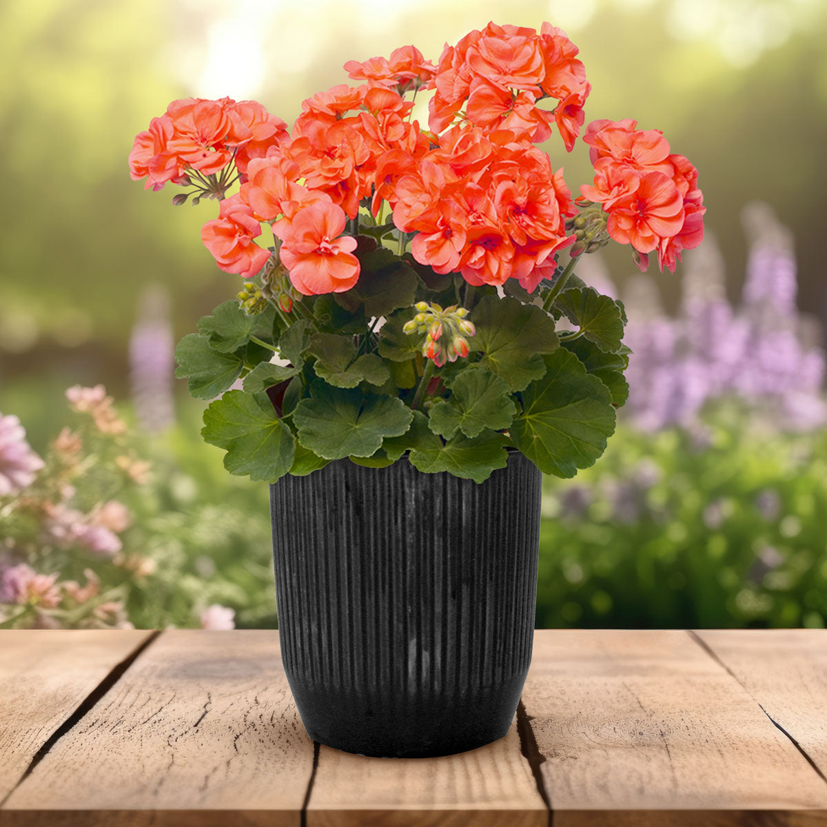 Maceta Textura Líneas de Cerámica, Color Negro, 14x12 cm